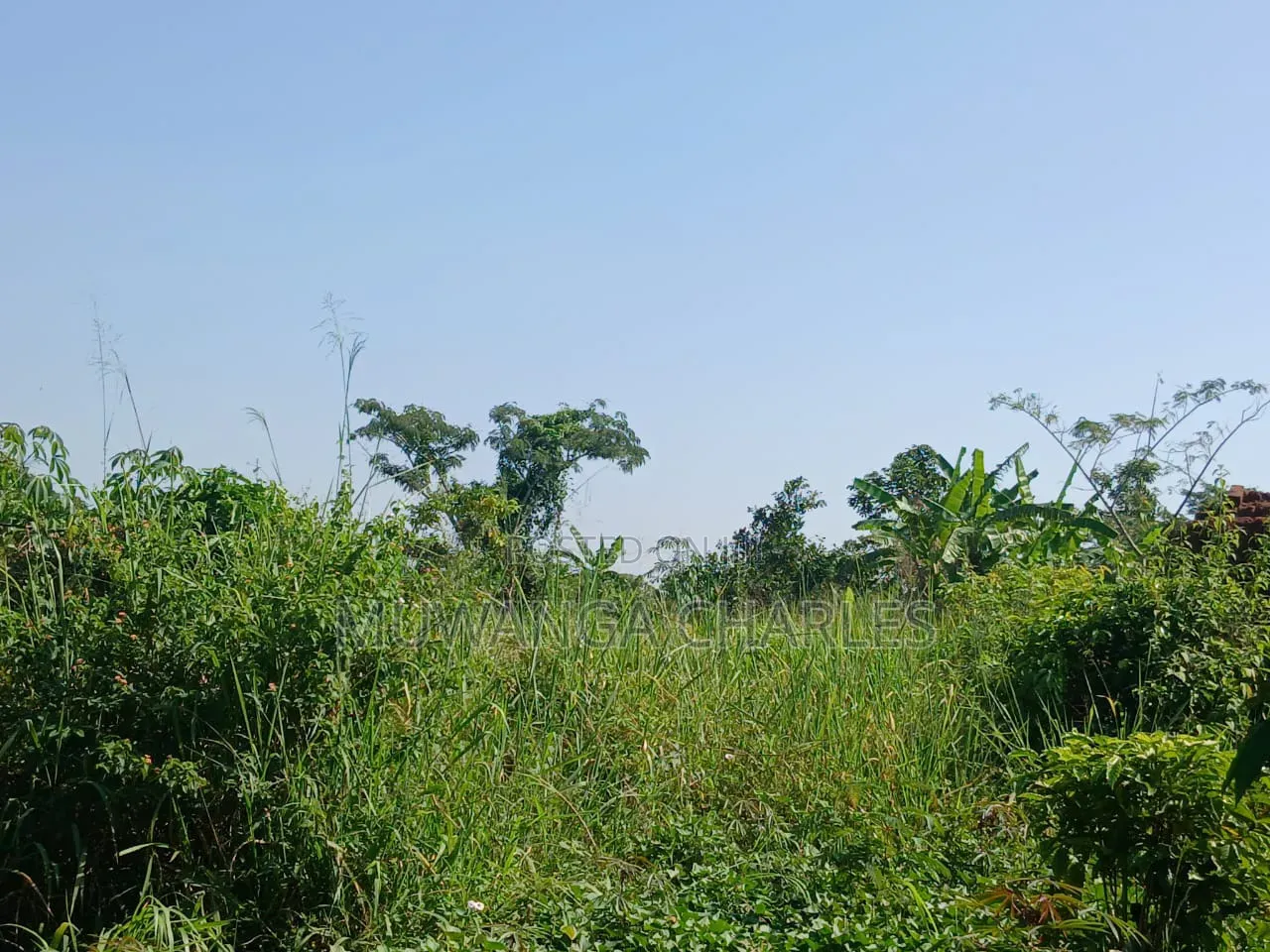 Land on Sale in Zirobwe Kakala in Zirobwe