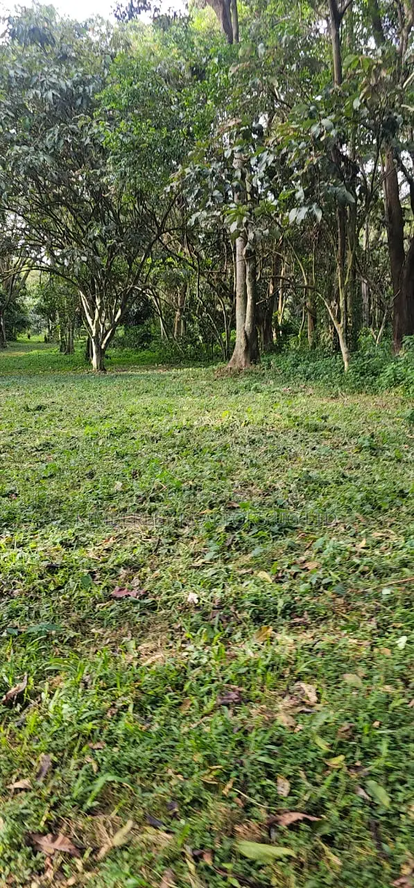 200 Acres For Sale – Nakasongola (Kalungi) in Nakasongola