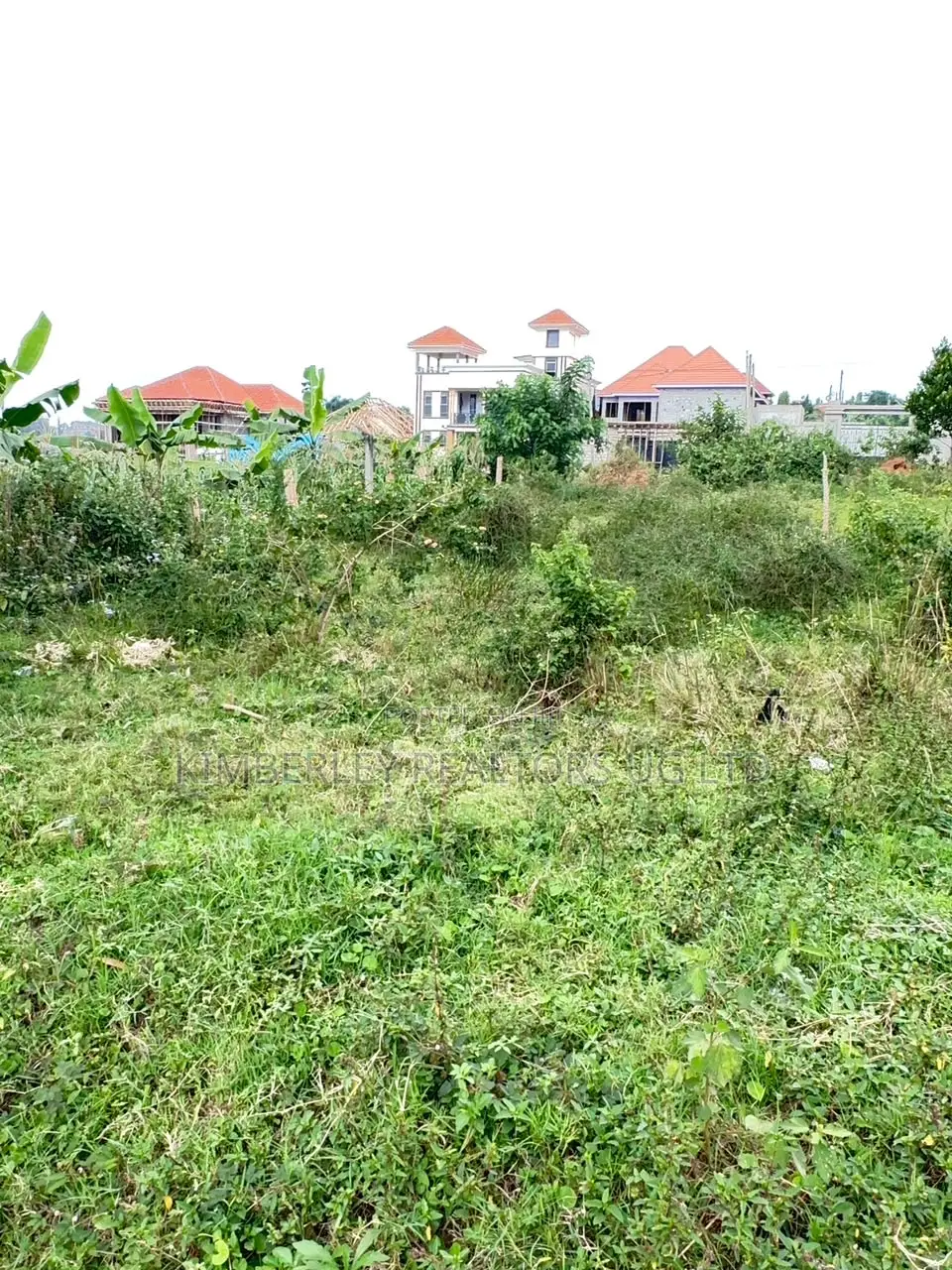 Prime Plot for Sale – Kira in Division A