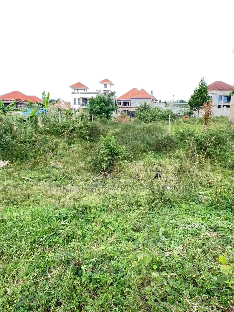 Prime Plot for Sale – Kira in Division A