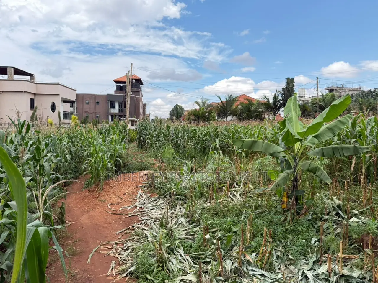 Prime Plot for Sale – Kira Town in Division A