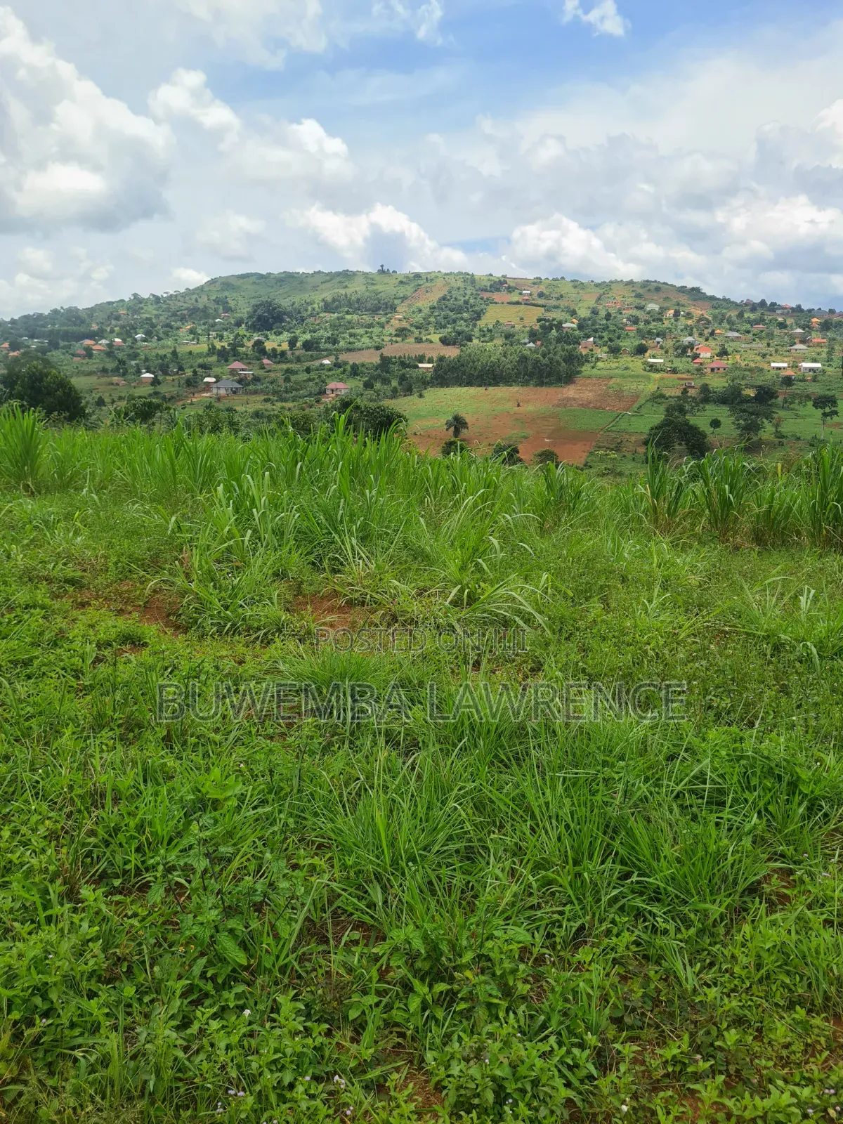 Land for Sale at Maya Jandira 100x100 in Central Division