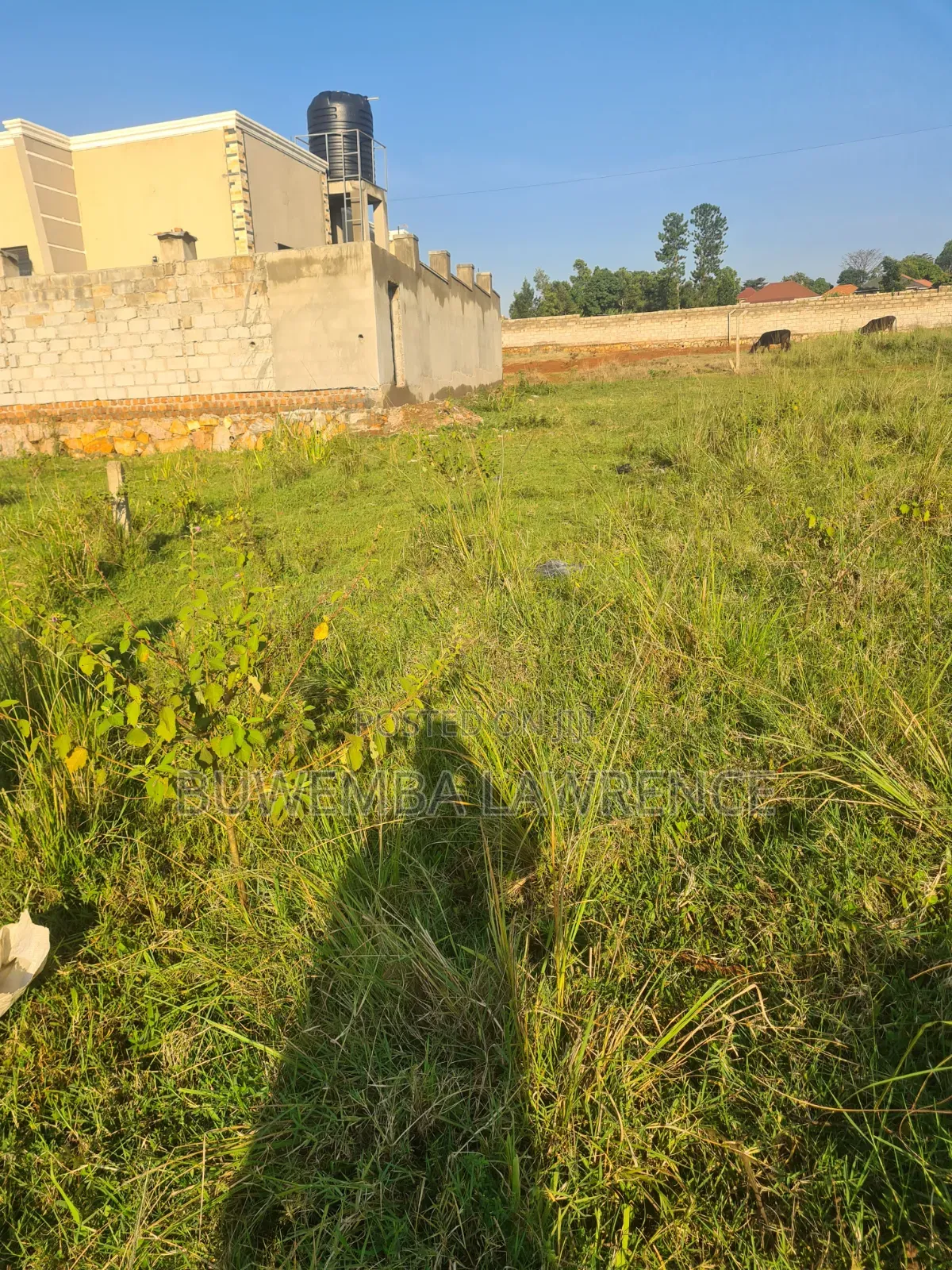 Land for Sale at Nsasa Namwezi 50x100 in Central Division