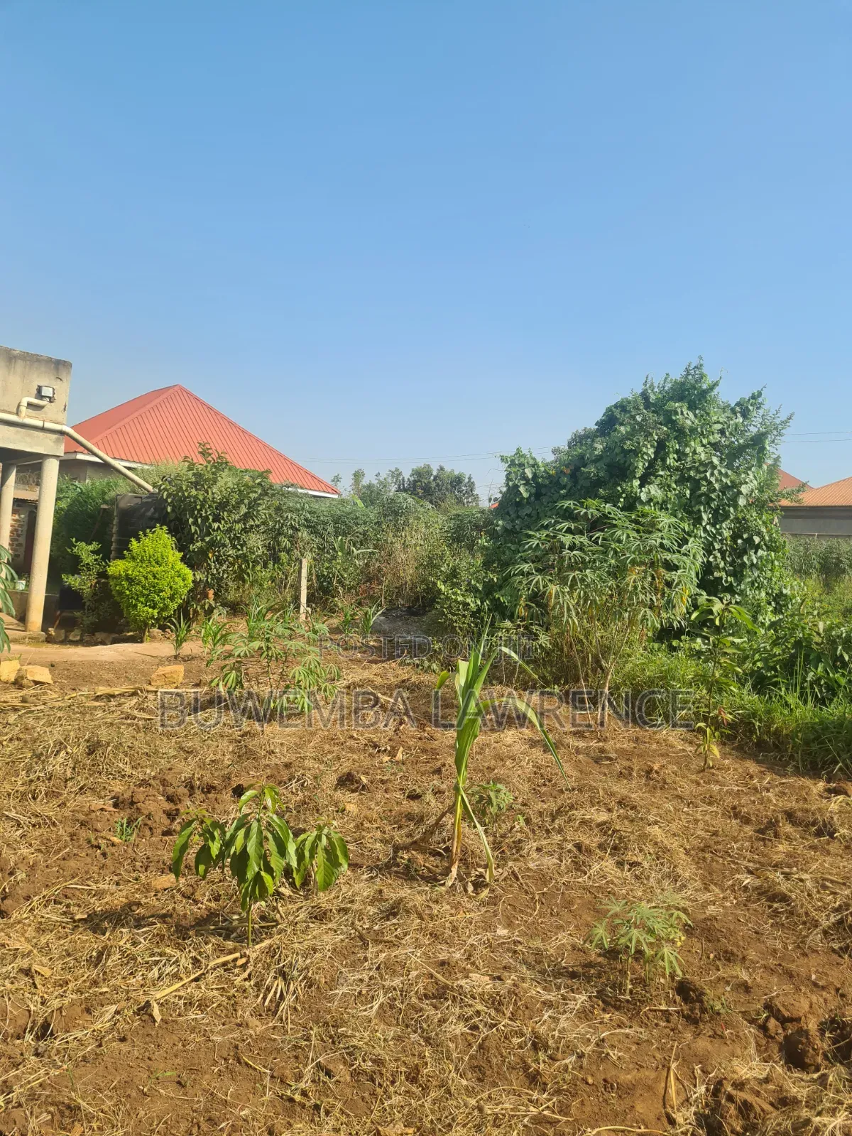 Land for Sale at Masoli Gayaza Road 50x100 in Central Division
