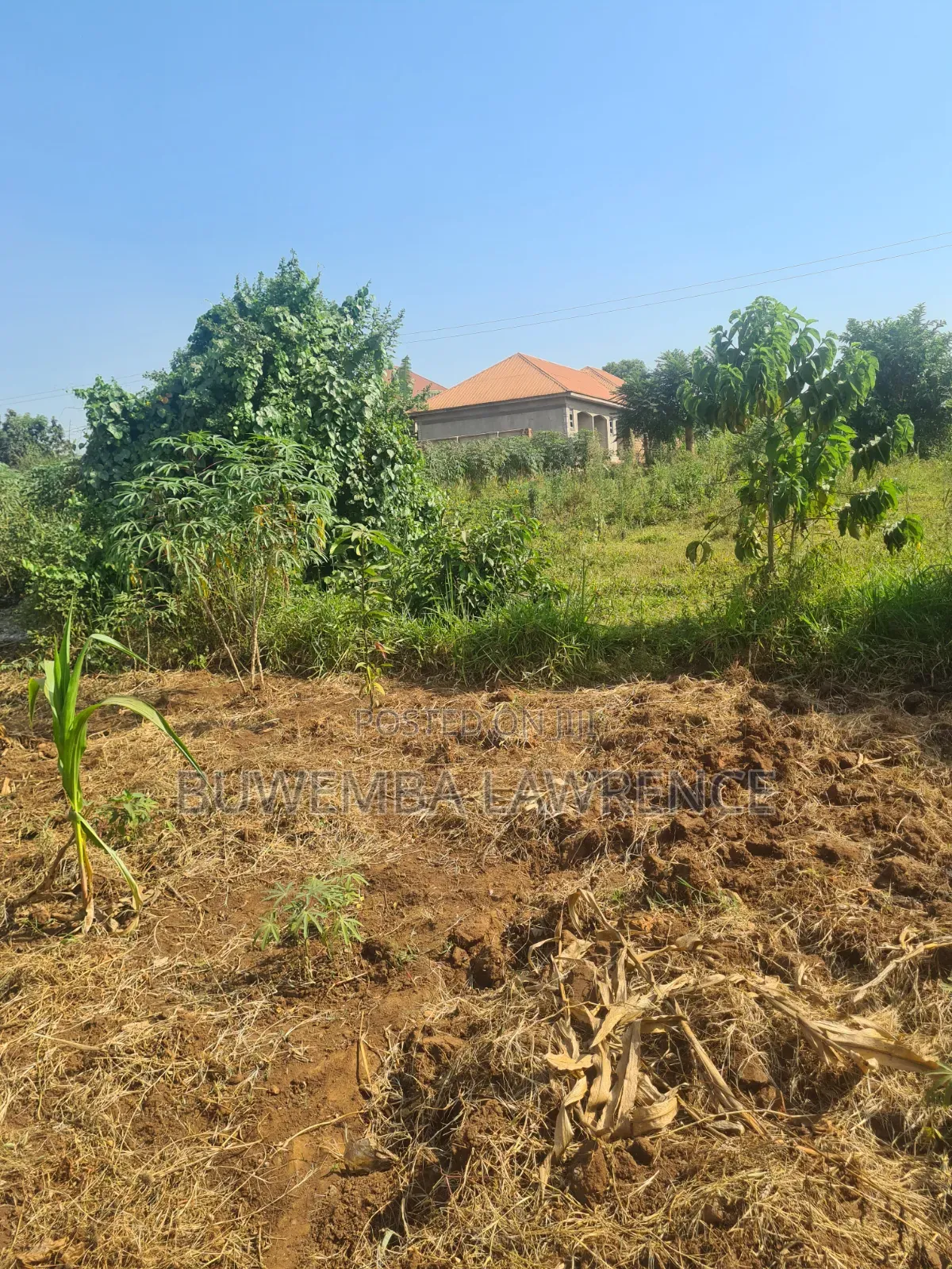Land for Sale at Masoli Gayaza Road 50x100 in Central Division