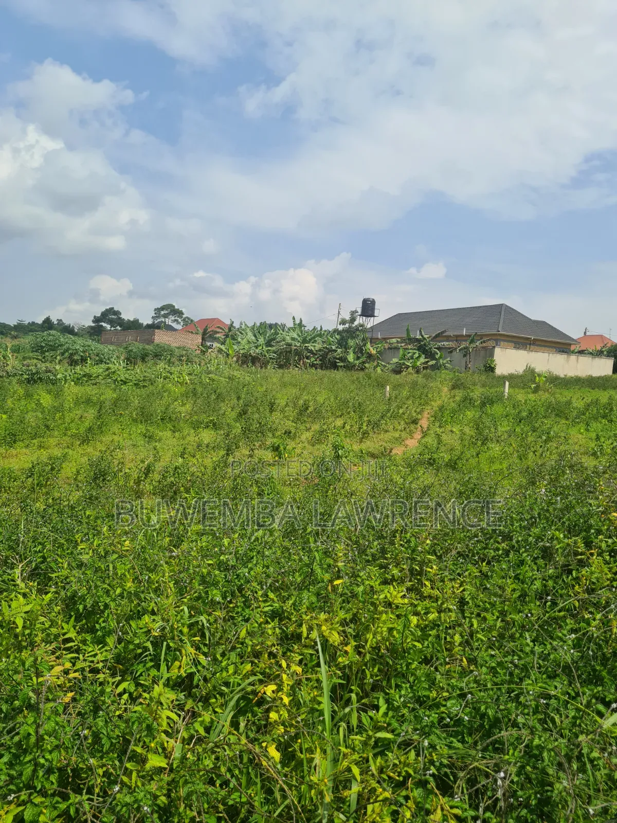 Land for Sale at Maya Sokolo 50x100 in Central Division