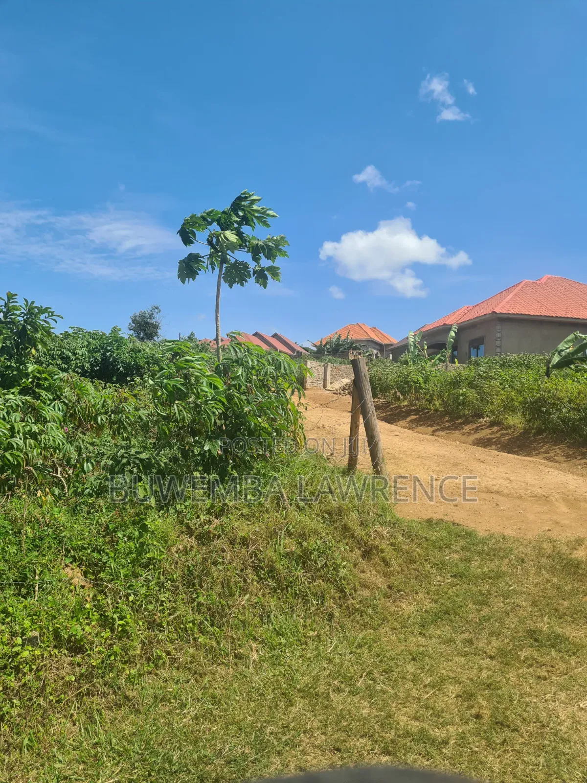 Land for Sale at Seeta Jogo Mukono 50x100 in Central Division
