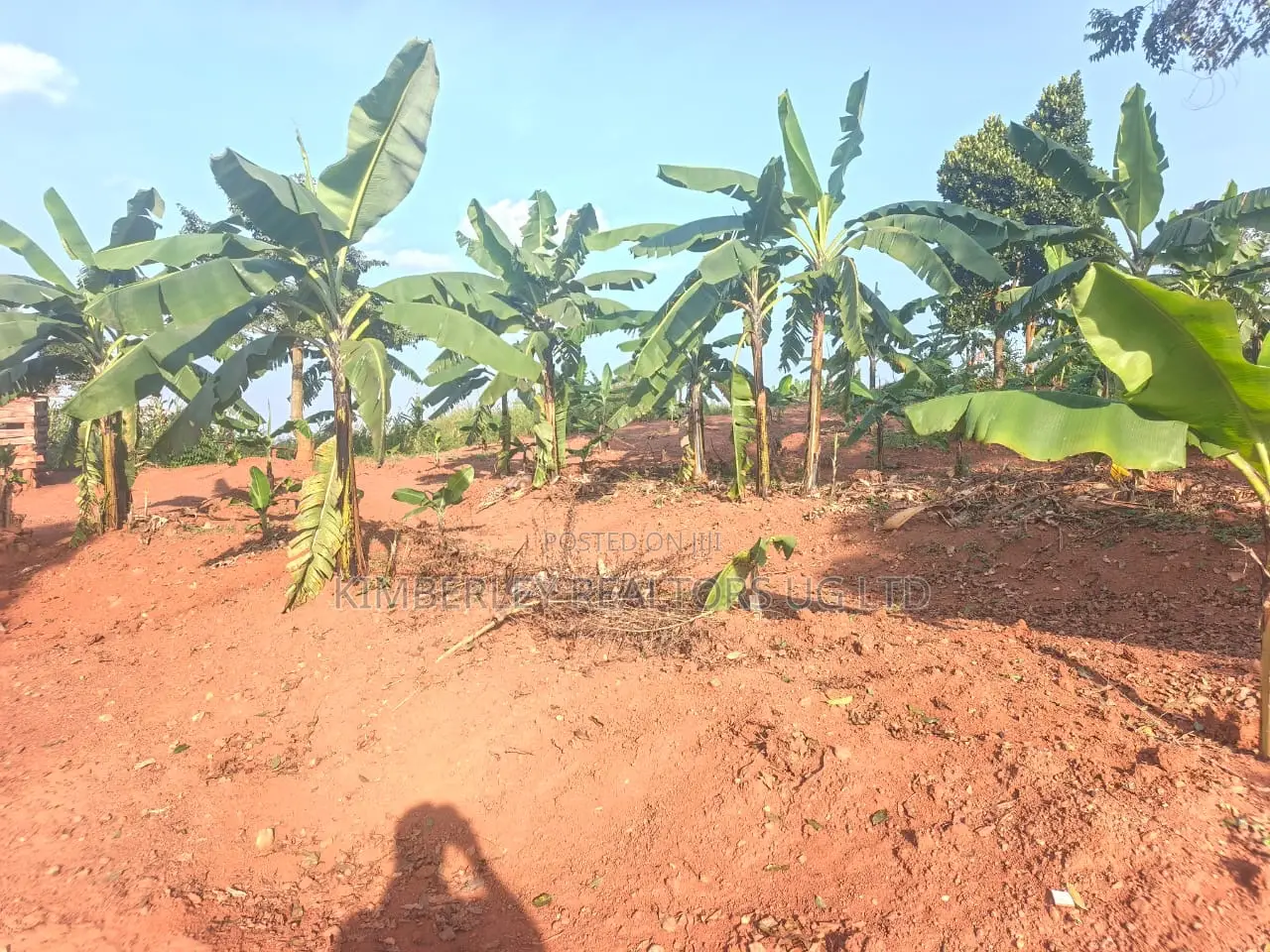 30 Decimals of Prime Land for Sale – Namugongo Bukerere in Mukono TC