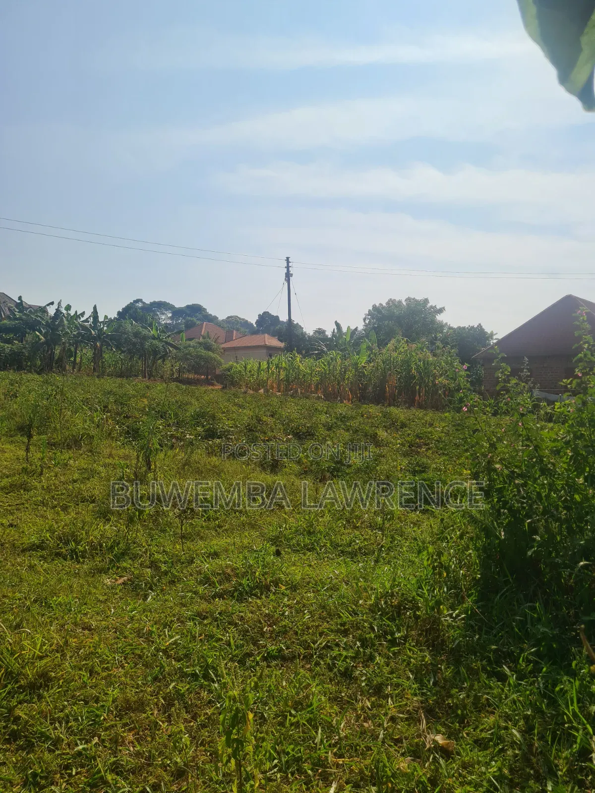 Land for Sale at Wakiso Nkowe Hoima Rd 50x100 in Central Division