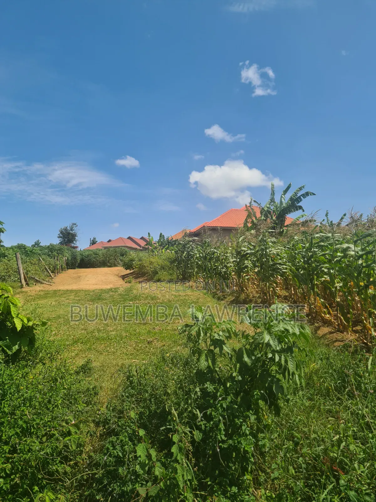 Land for Sale at Matuga Kabunza Bombo Rd 50x100 in Central Division