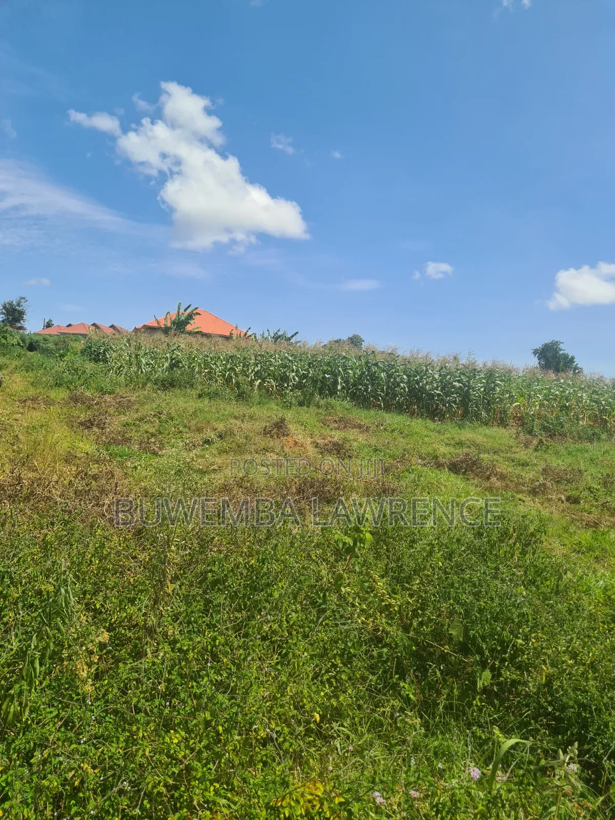 Land for Sale at Matuga Kabunza Bombo Rd 50x100 in Central Division