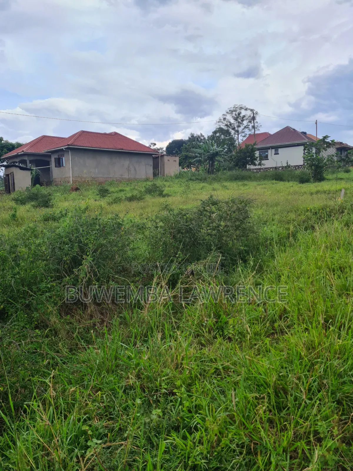 Plot for Sale Lake View at Mpala Ntebe Road 50x100 in Central Division