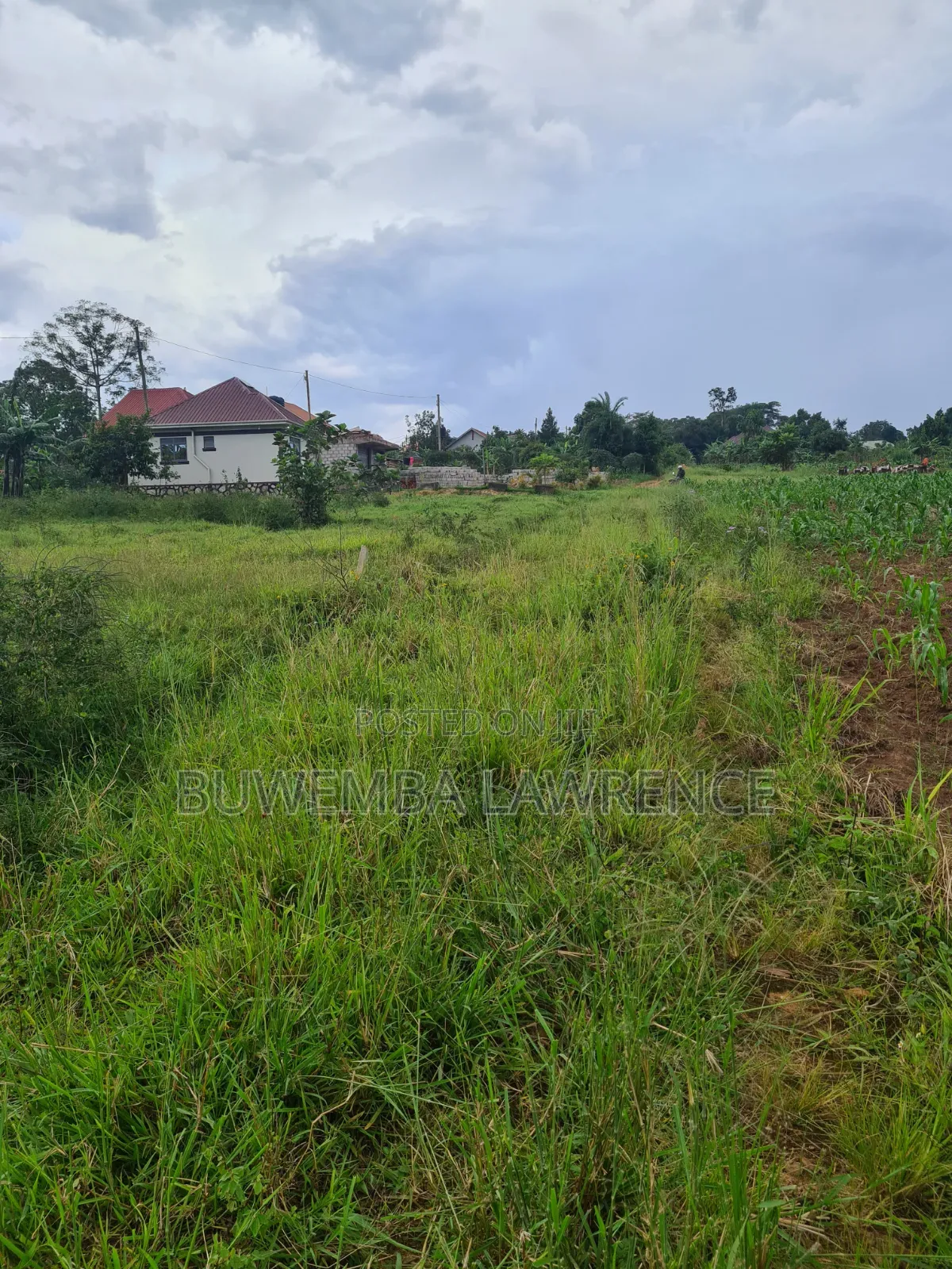 Plot for Sale Lake View at Mpala Ntebe Road 50x100 in Central Division