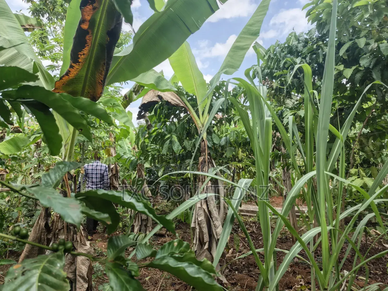 1acre for Sale Jinja Budondo Road in Jinja