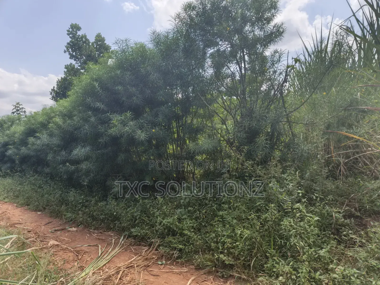 1acre for Sale Jinja Budondo Road in Jinja