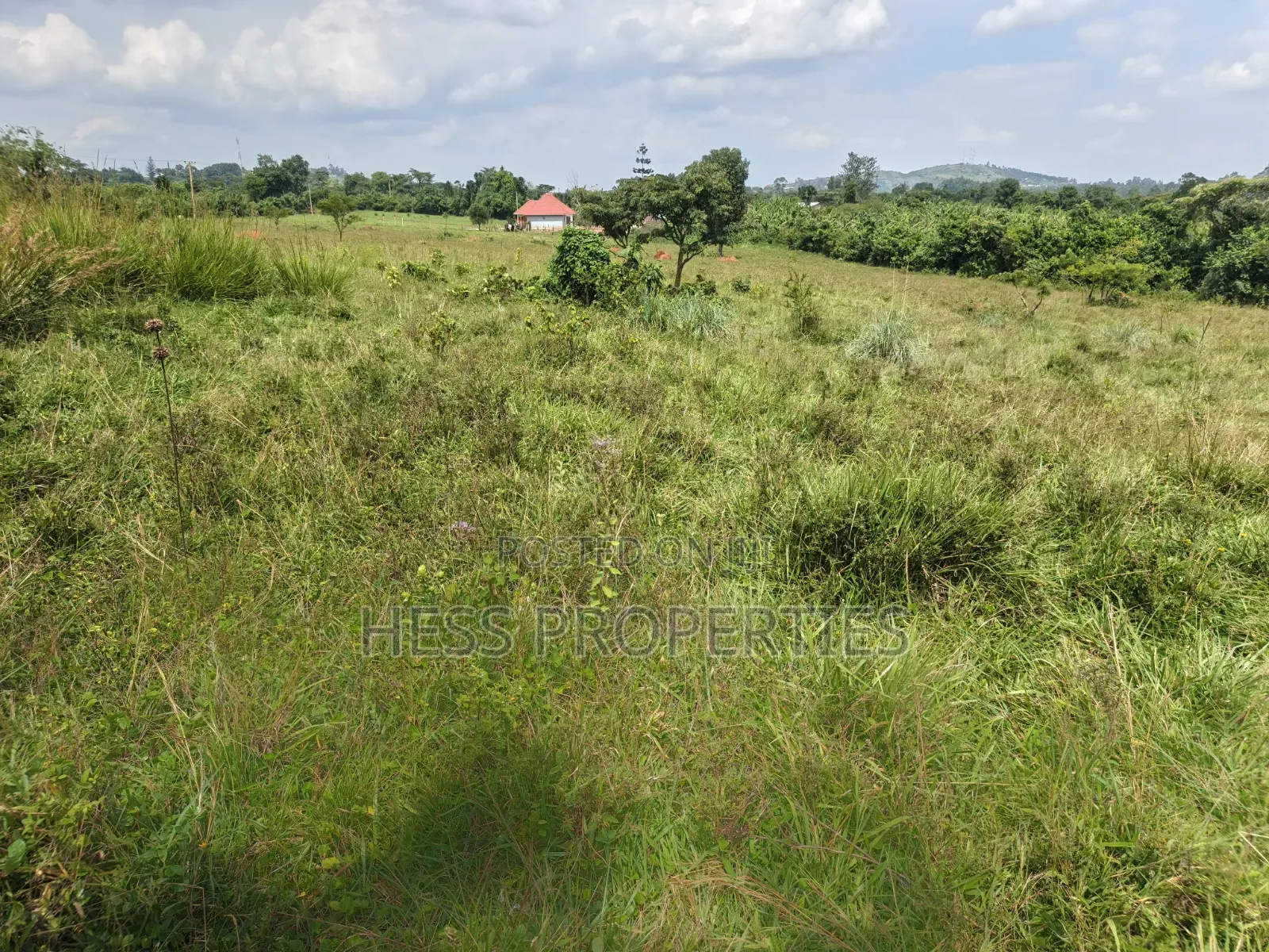 8acres of Commercial Land on Sale in Kyenjojo