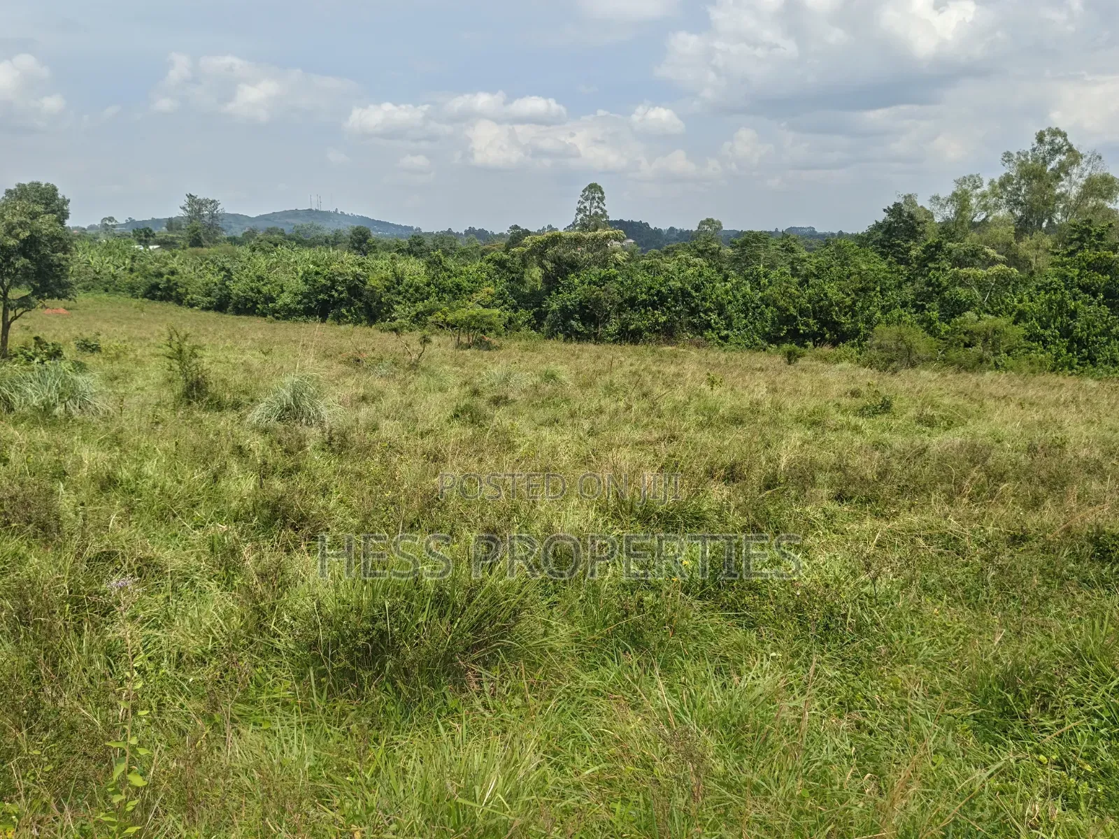 8acres of Commercial Land on Sale in Kyenjojo