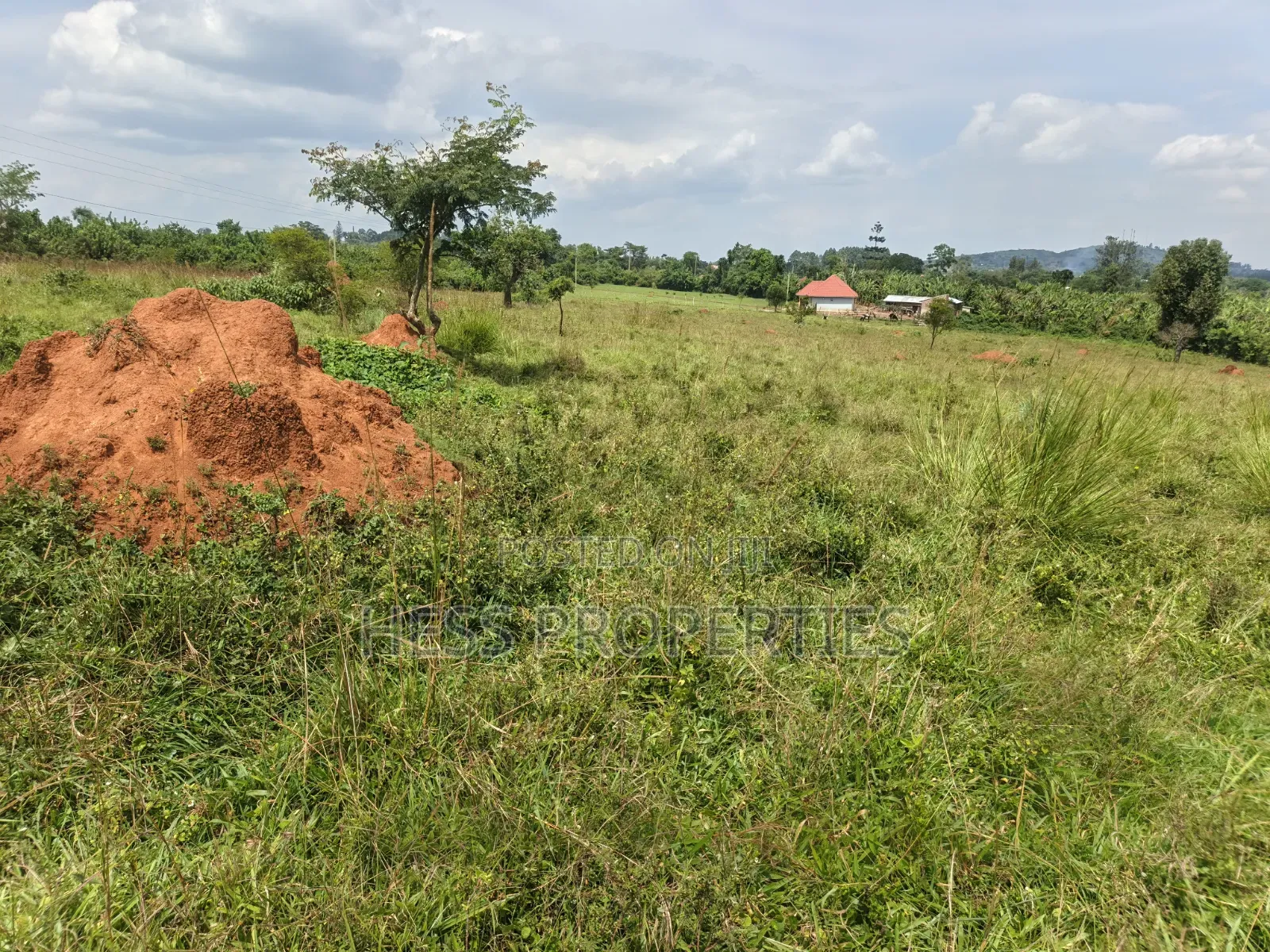 8acres of Commercial Land on Sale in Kyenjojo