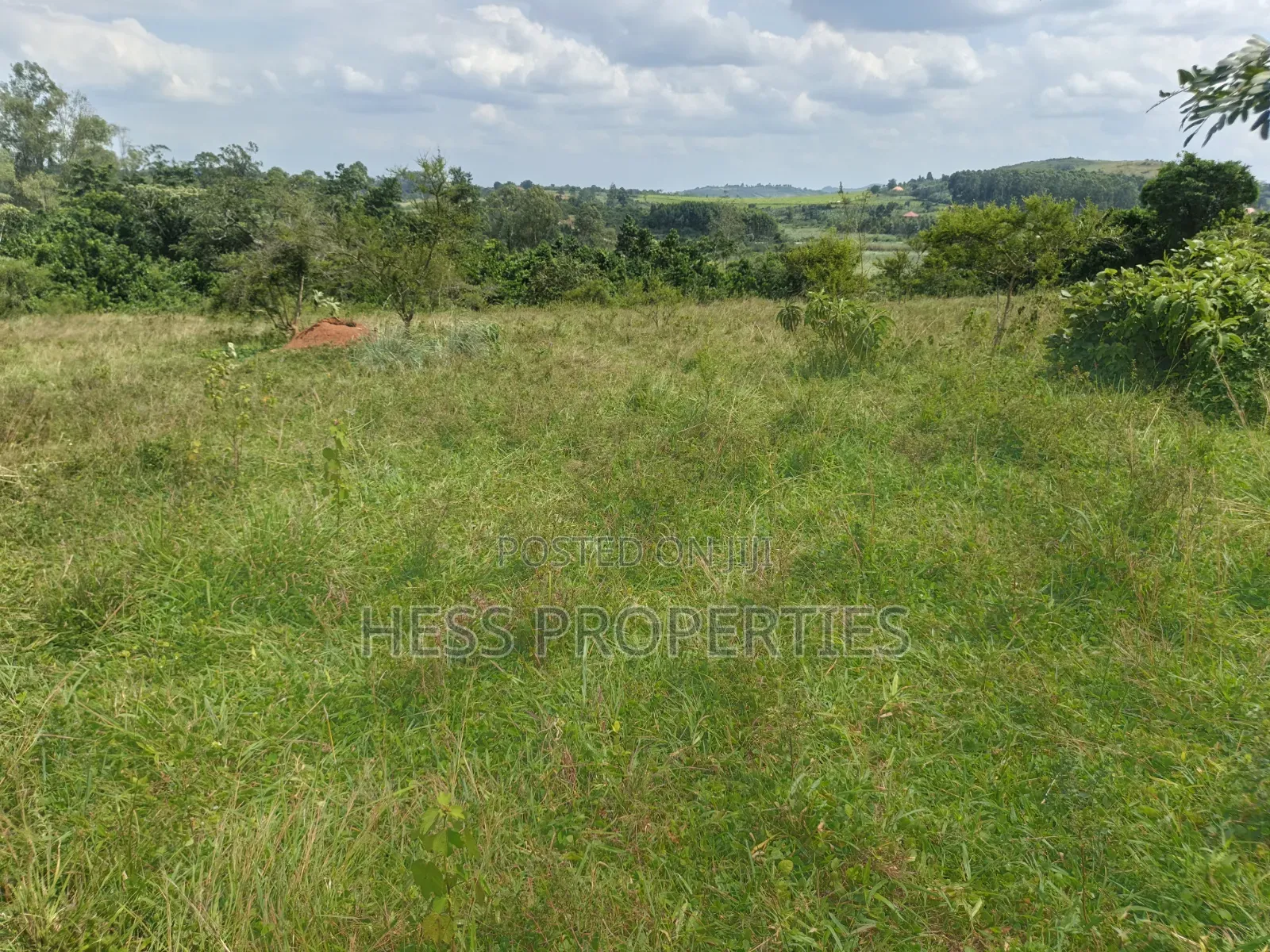 8acres of Commercial Land on Sale in Kyenjojo