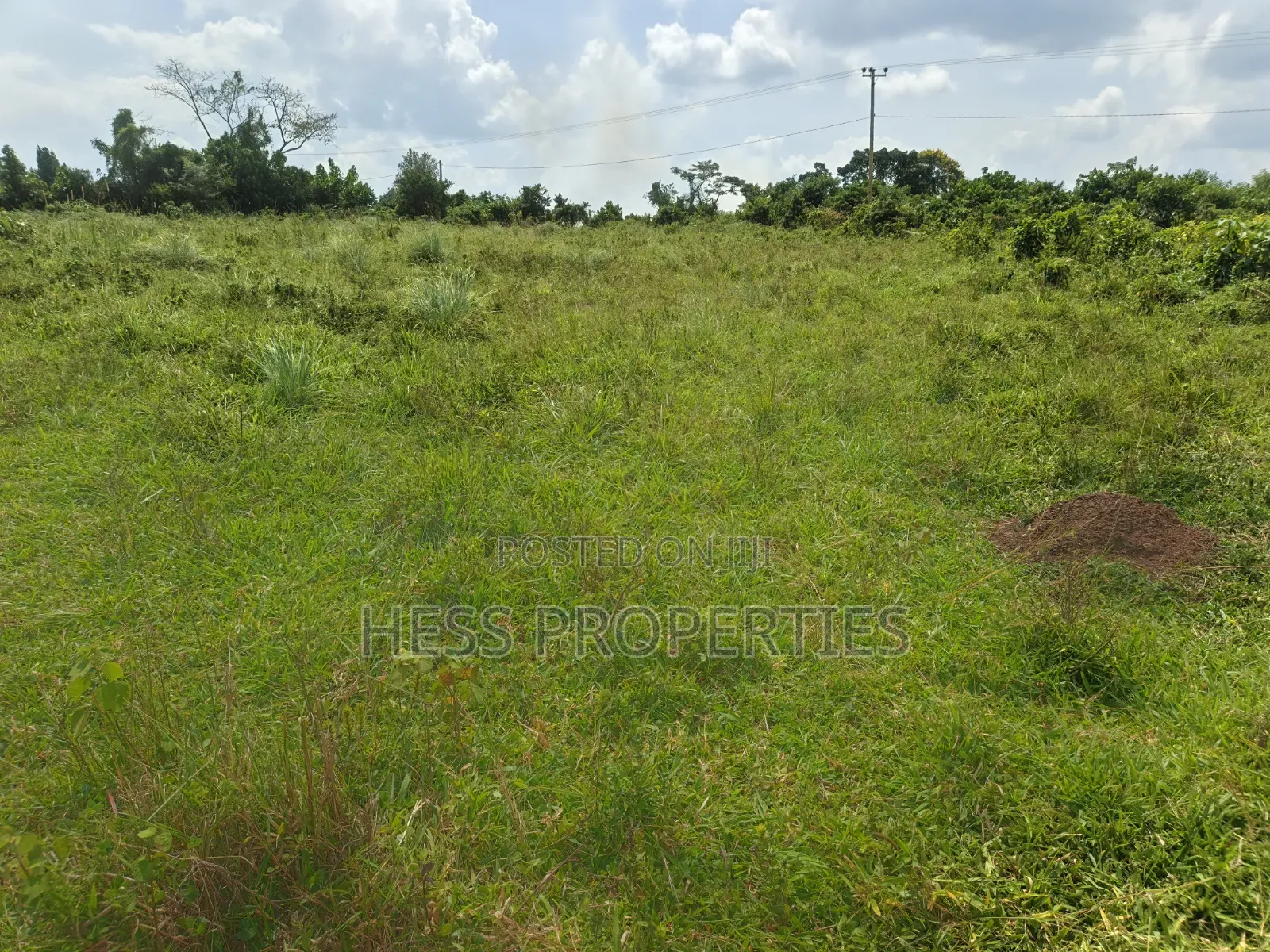 8acres of Commercial Land on Sale in Kyenjojo