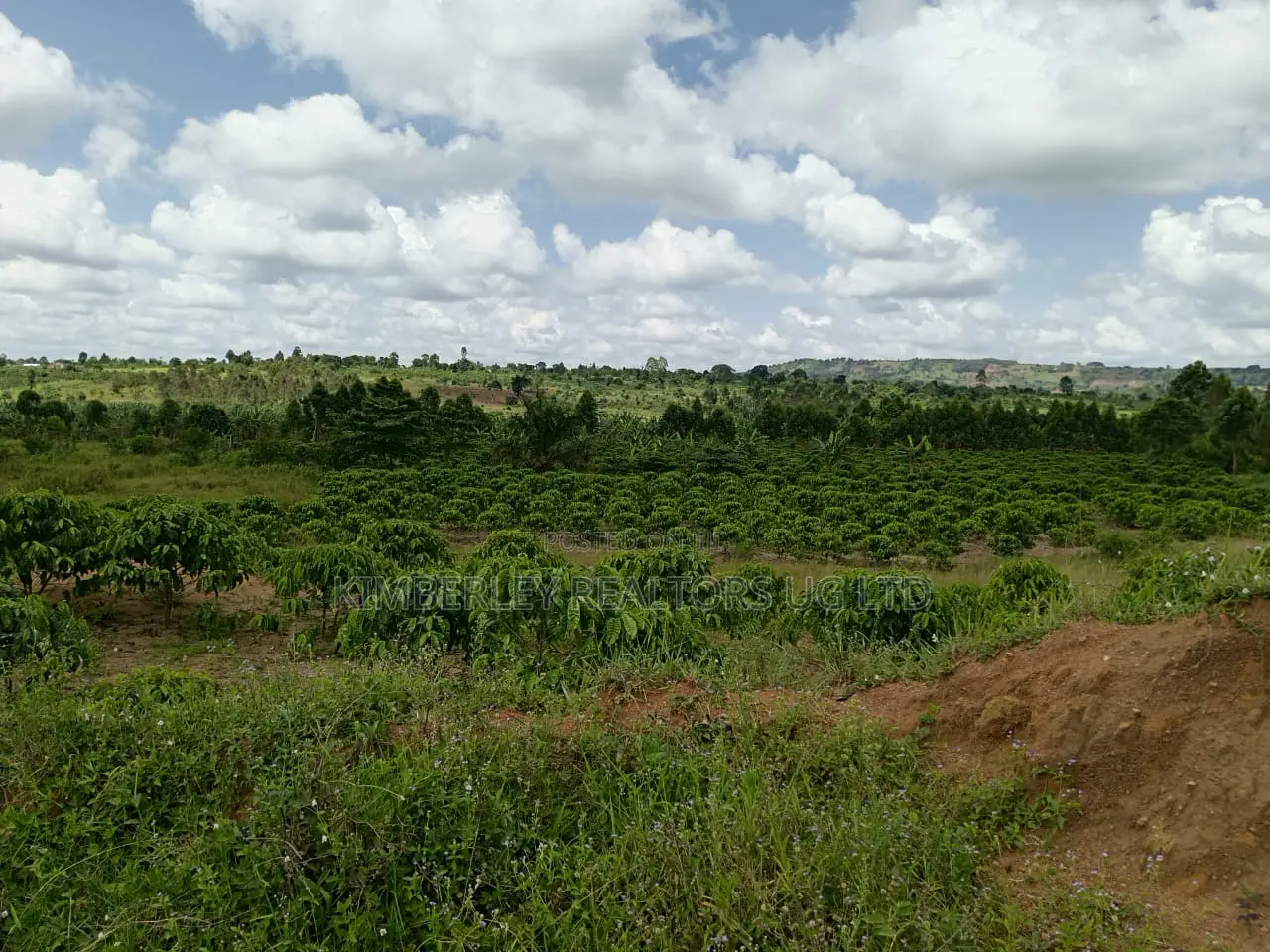 15 Acres Waterfront Land on Sale – Garuga Bulega in Division A