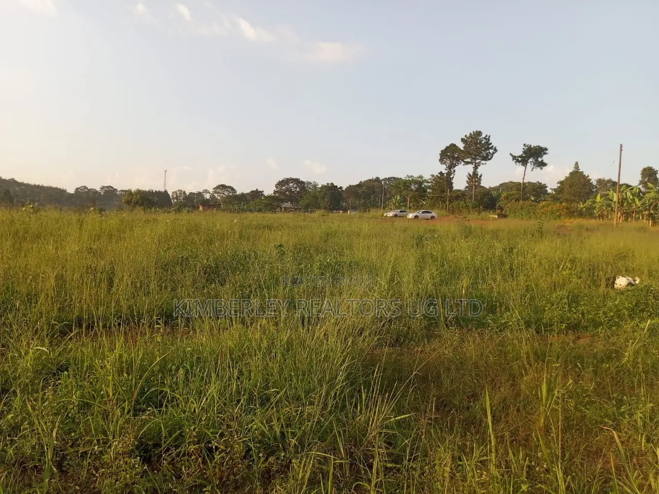 15 Acres on Sale – Busukuma Gayaza Road in Busukuma