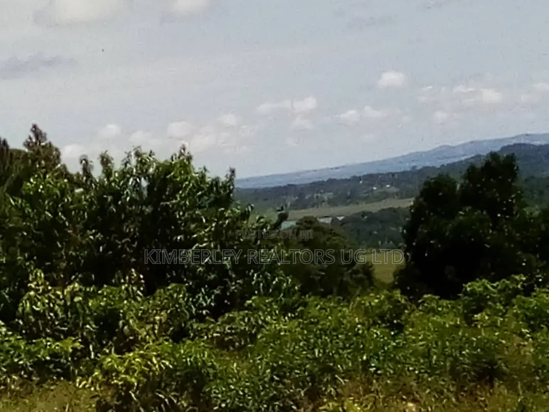 Beautiful Lake View Land for Sale – Mpata, Mukono in Mukono TC