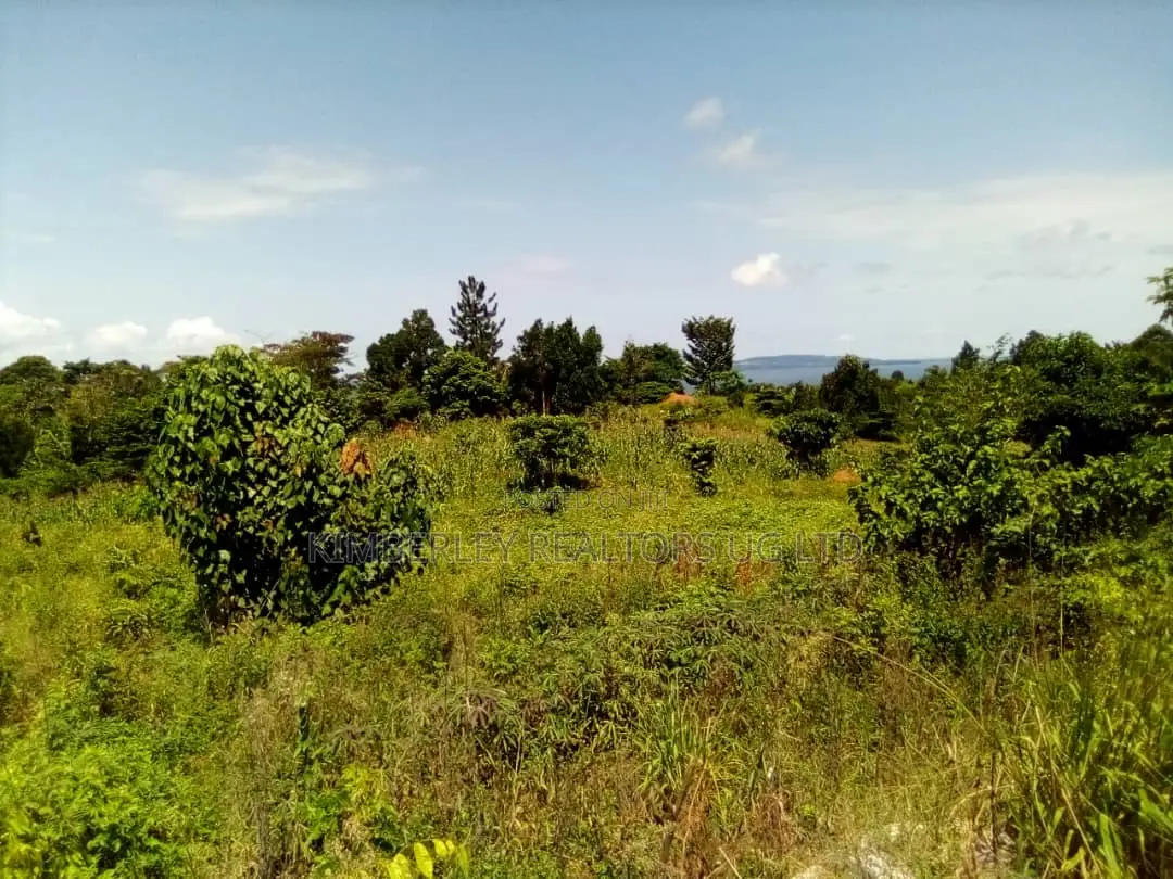Beautiful Lake View Land for Sale – Mpata, Mukono in Mukono TC