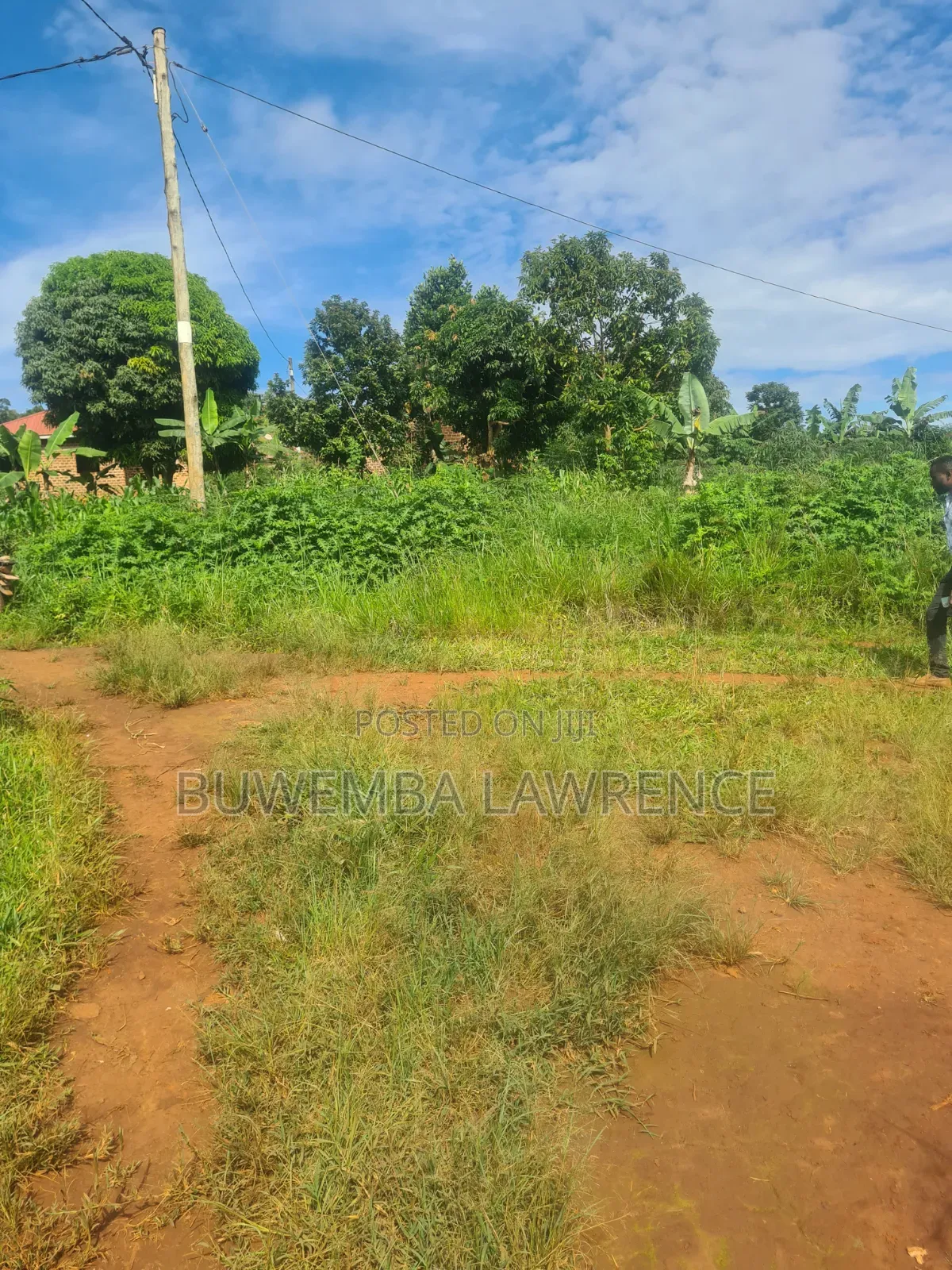 For Sale Half Acre in Wakiso Nkowe Hoima Rd in Central Division
