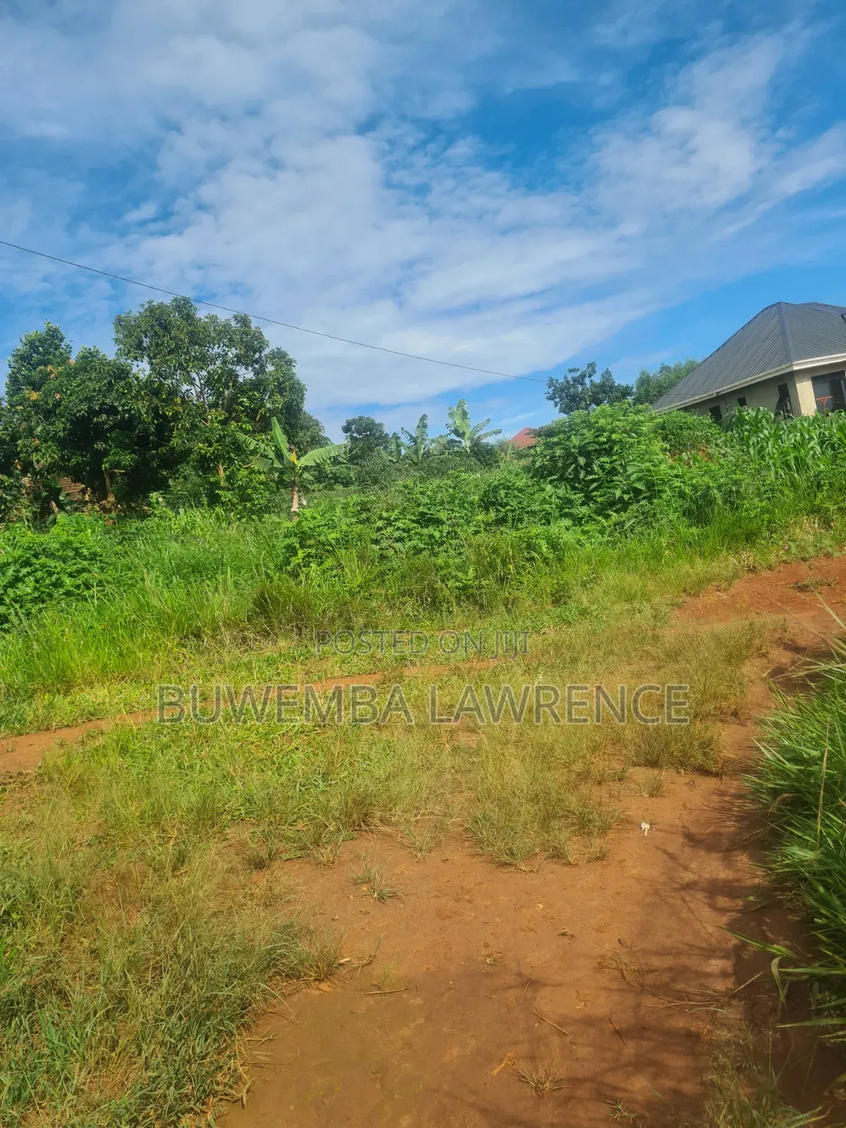 For Sale Half Acre in Wakiso Nkowe Hoima Rd in Central Division