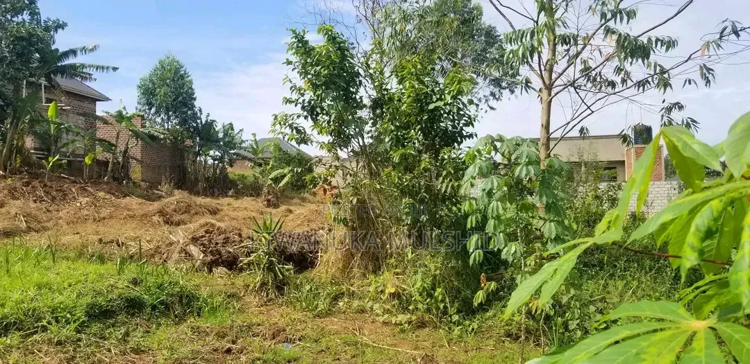 Lukwanga (50by30ft) in Bulenga