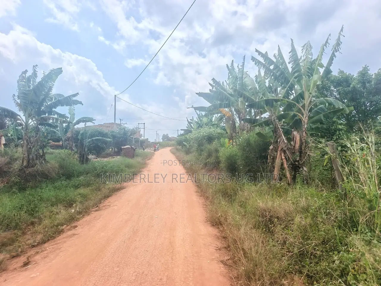 Coffee Plantation on Quick Sale – Mukono Nakifuma in Mukono TC