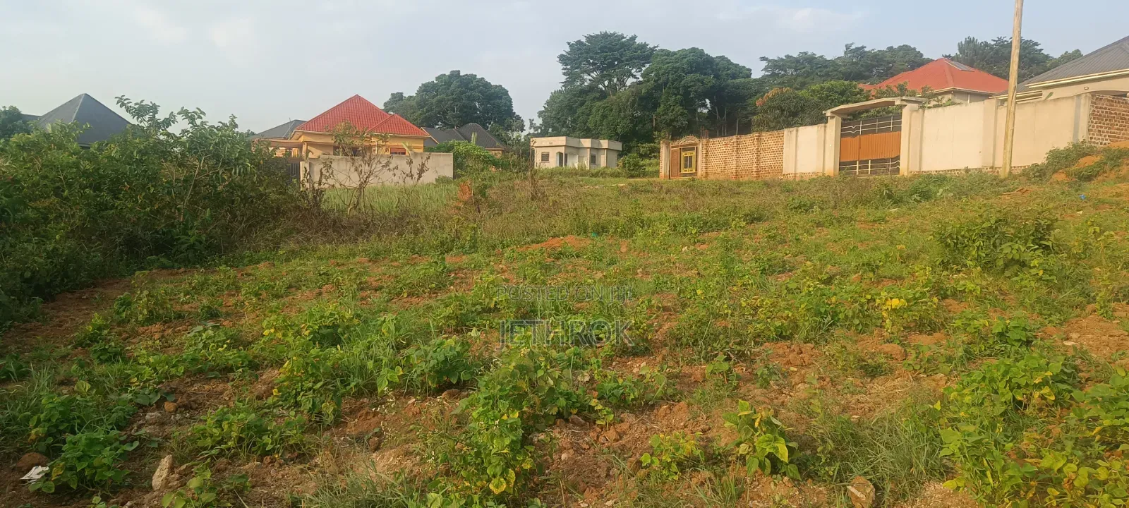 Quick Sale 50x100ft Plots7 in Mukono TC