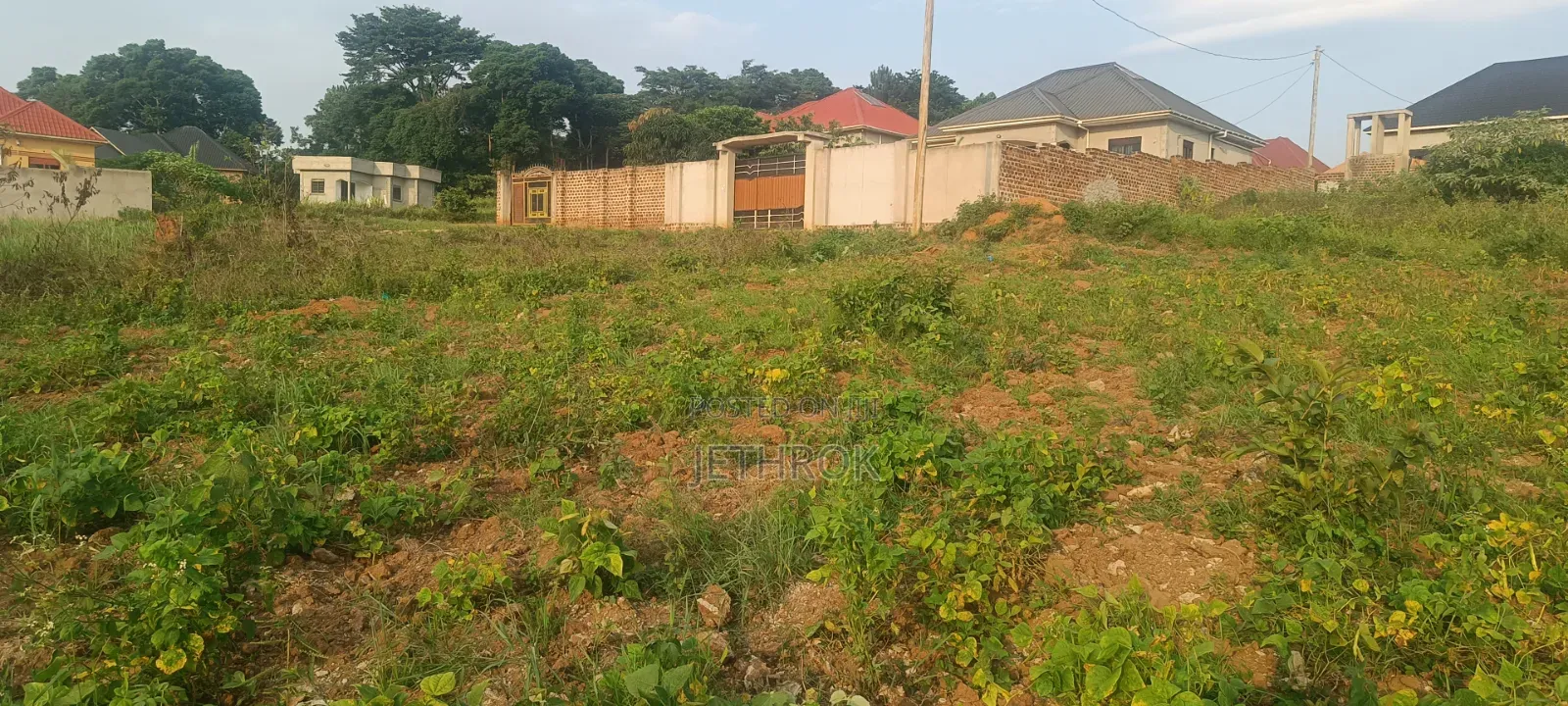 Quick Sale 50x100ft Plots7 in Mukono TC
