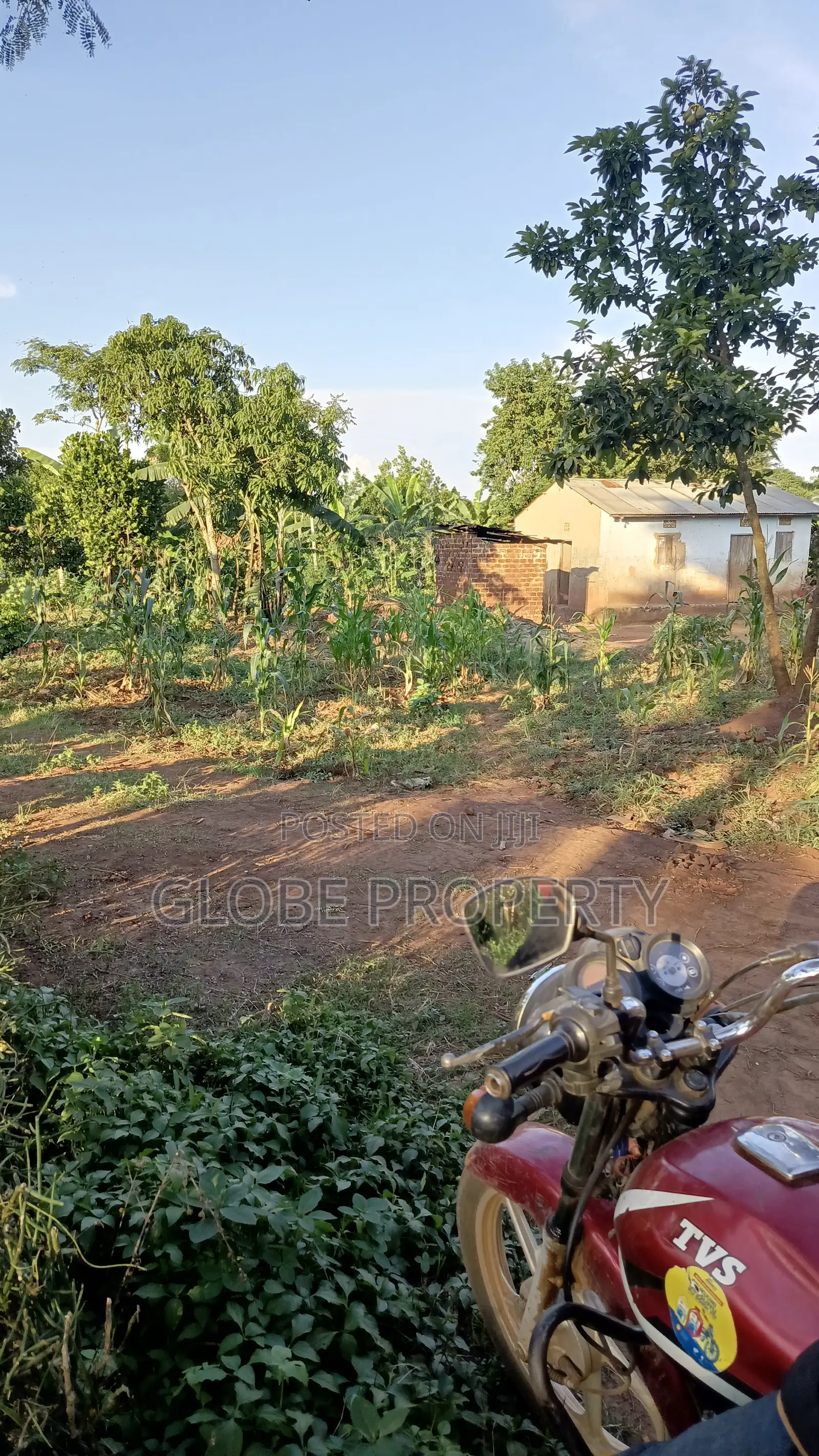 A Plot for Sale in Kasanjje in Kasanje