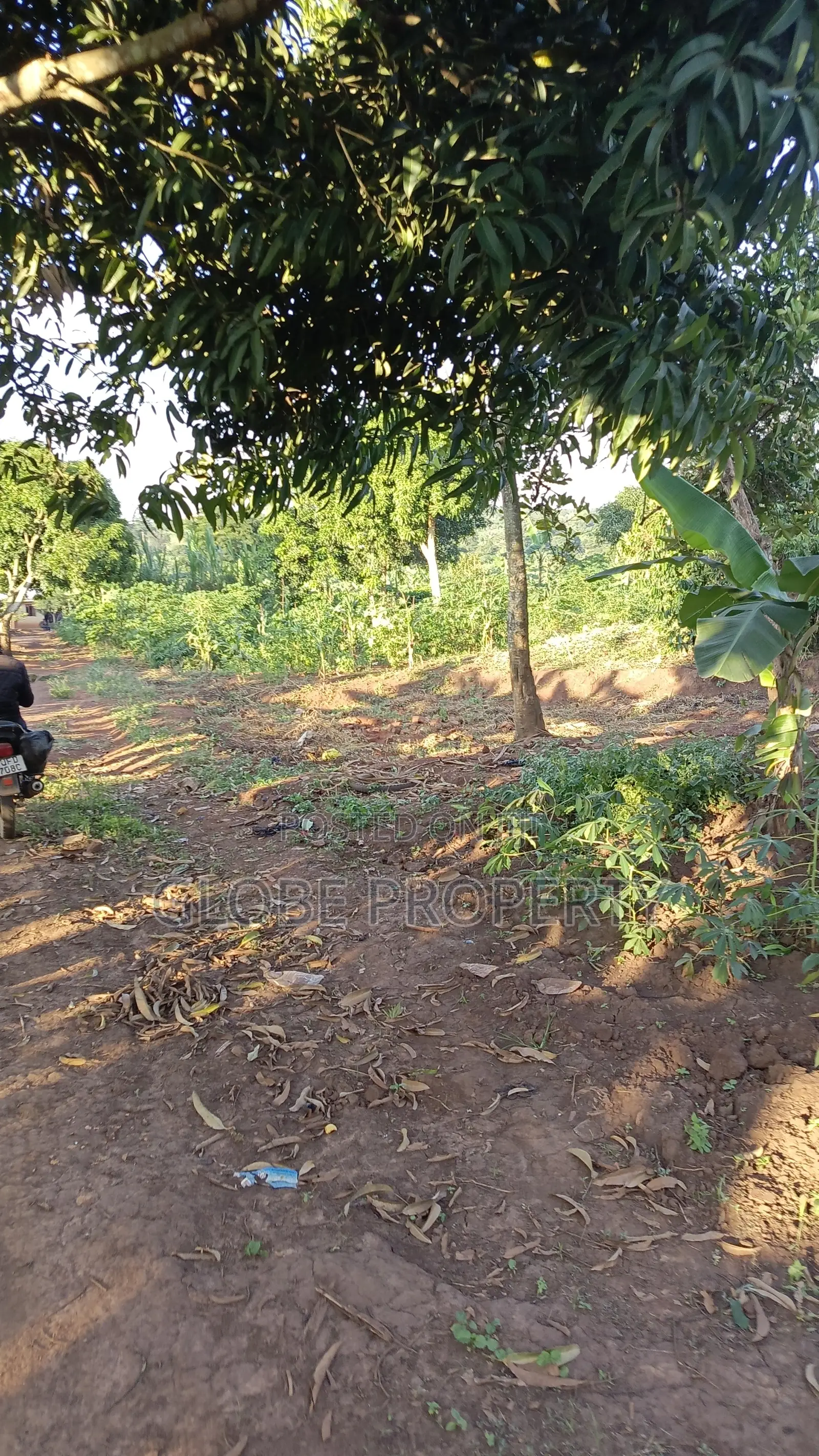 A Plot for Sale in Kasanjje in Kasanje