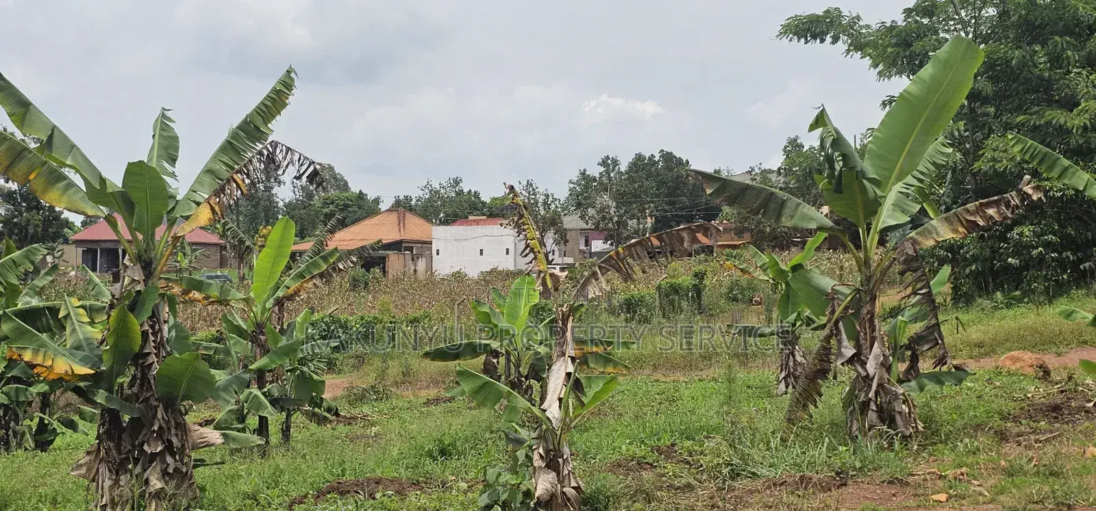 Bukalango Mt Zion Estate in Kakiri