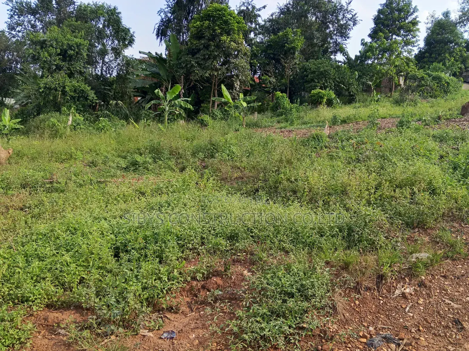 Plots For Sale Nabusugwe 50x100 Ft in Central Division