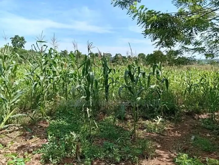 Plots on Sale – Mbugu, Matugga Semuto Road in Division A