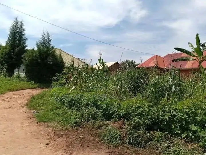 Plots on Sale – Mbugu, Matugga Semuto Road in Division A