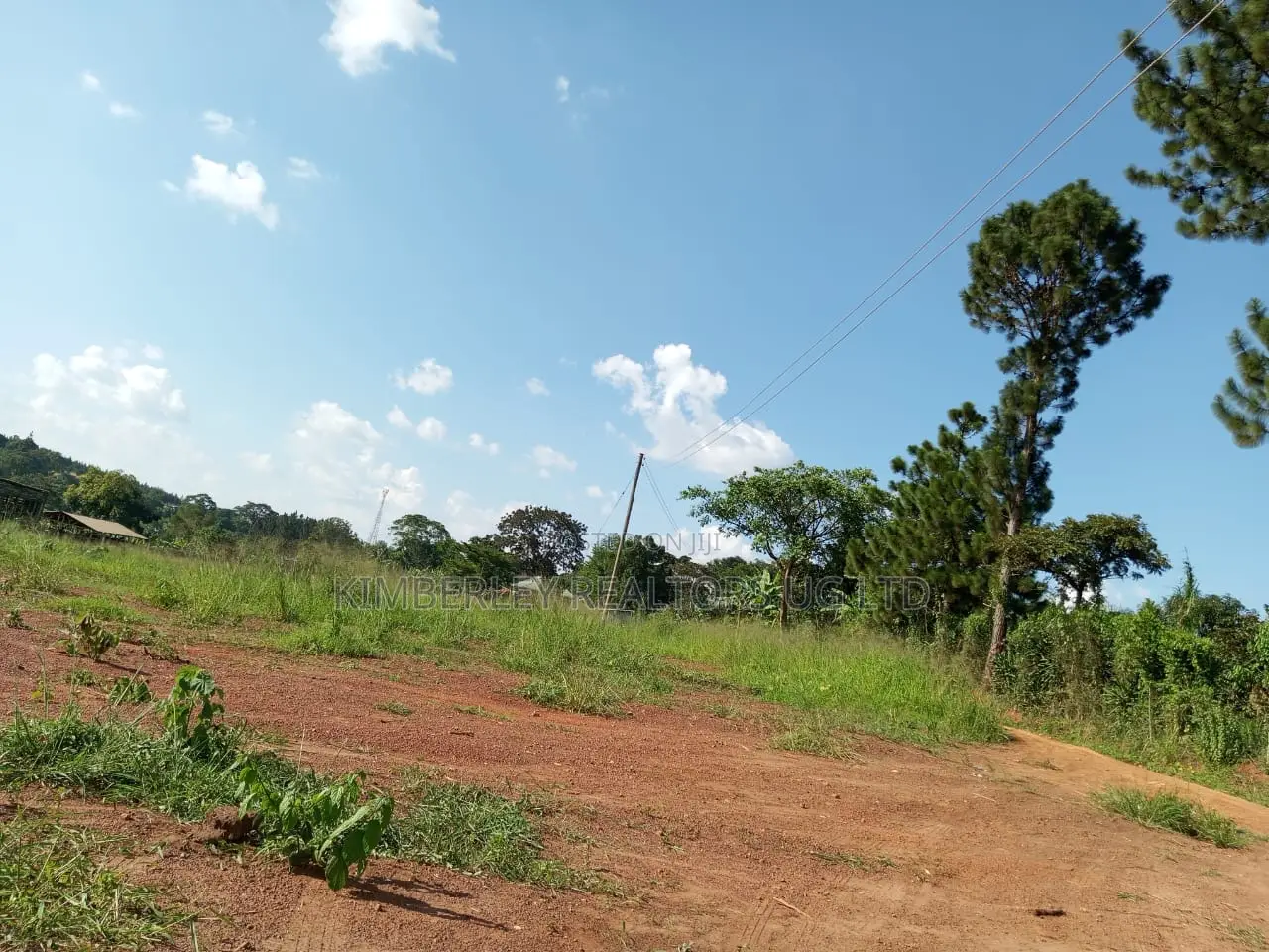 120 Acres of Agricultural Land for Sale – Nakaseke Wakyato in Division A