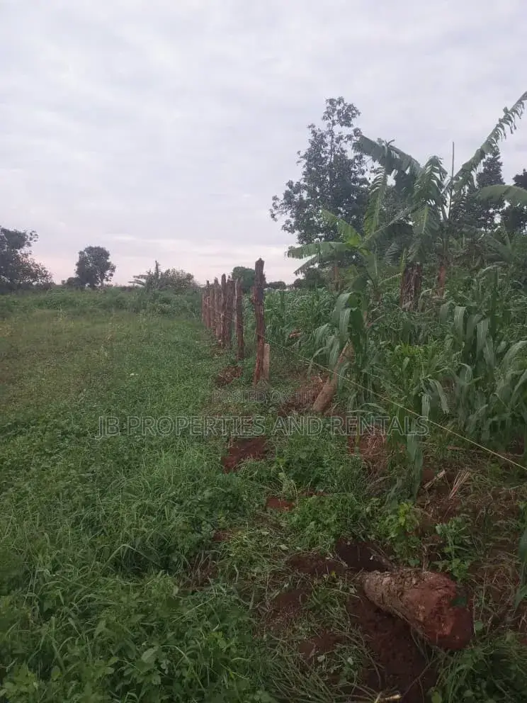 Land for Sale at Kasanje Ziba Road Size 1/5 Acres in Kasanje