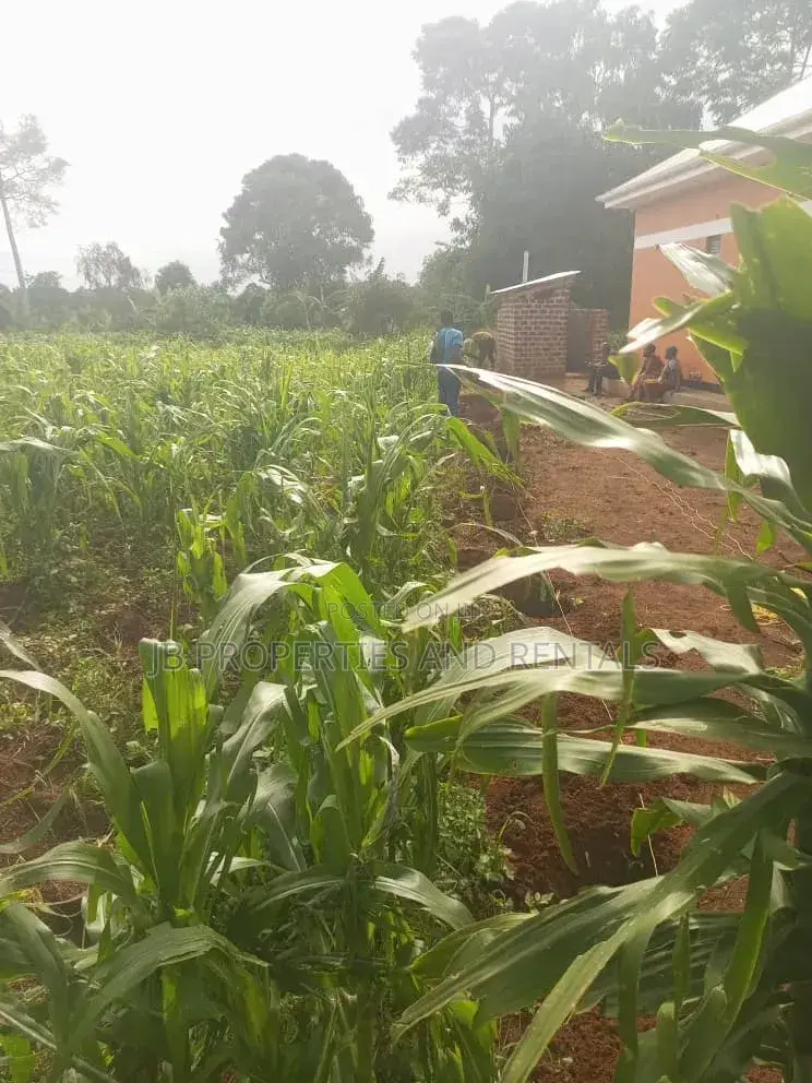 Land for Sale at Kasanje Ziba Road Size 1/5 Acres in Kasanje