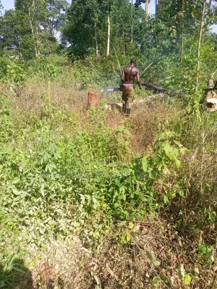 Land for Sale at Kasanje Ziba Road Size 1/5 Acres in Kasanje