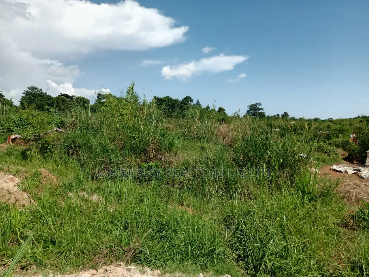 Prime Plot for Sale – Gayaza (Janda Haven Estate) in Division A