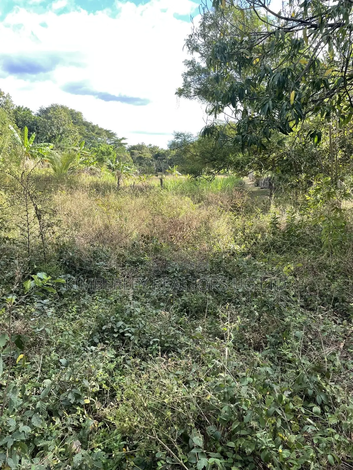Prime Plot for Sale – Gayaza (Zirobwe Visionary Estate) in Zirobwe