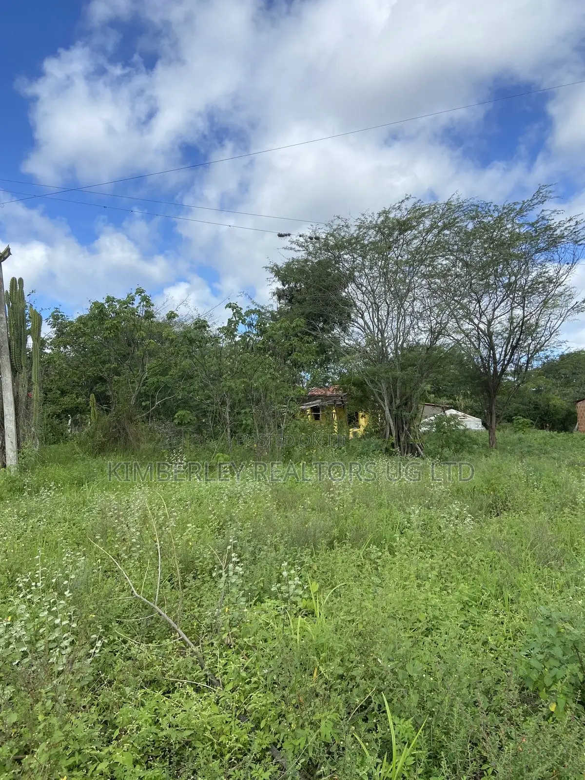 Prime Plot for Sale – Gayaza (Zirobwe Kyetume Estate) in Zirobwe