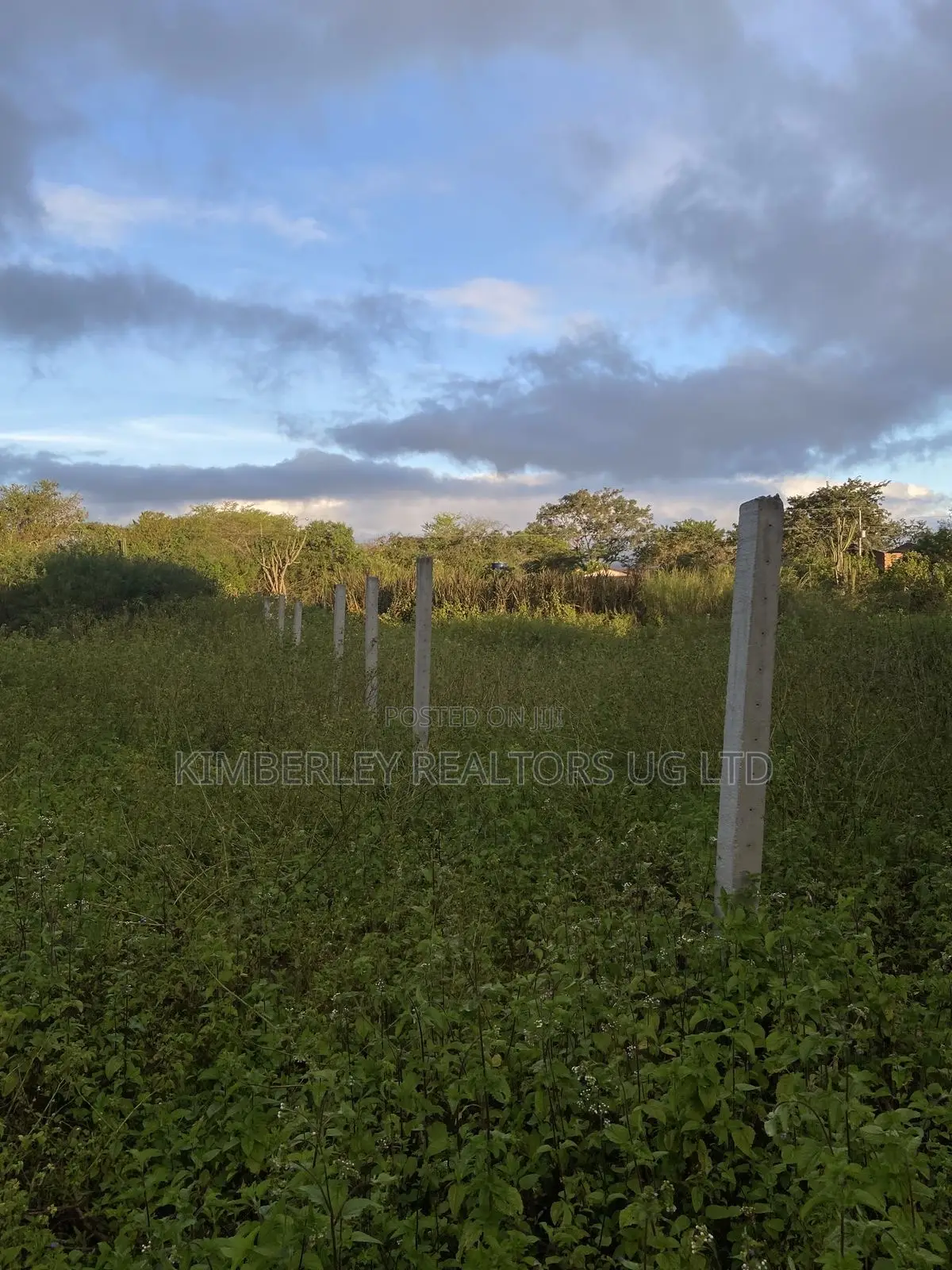 Prime Plot for Sale – Gayaza (Vumba New Hope Estate) in Zirobwe