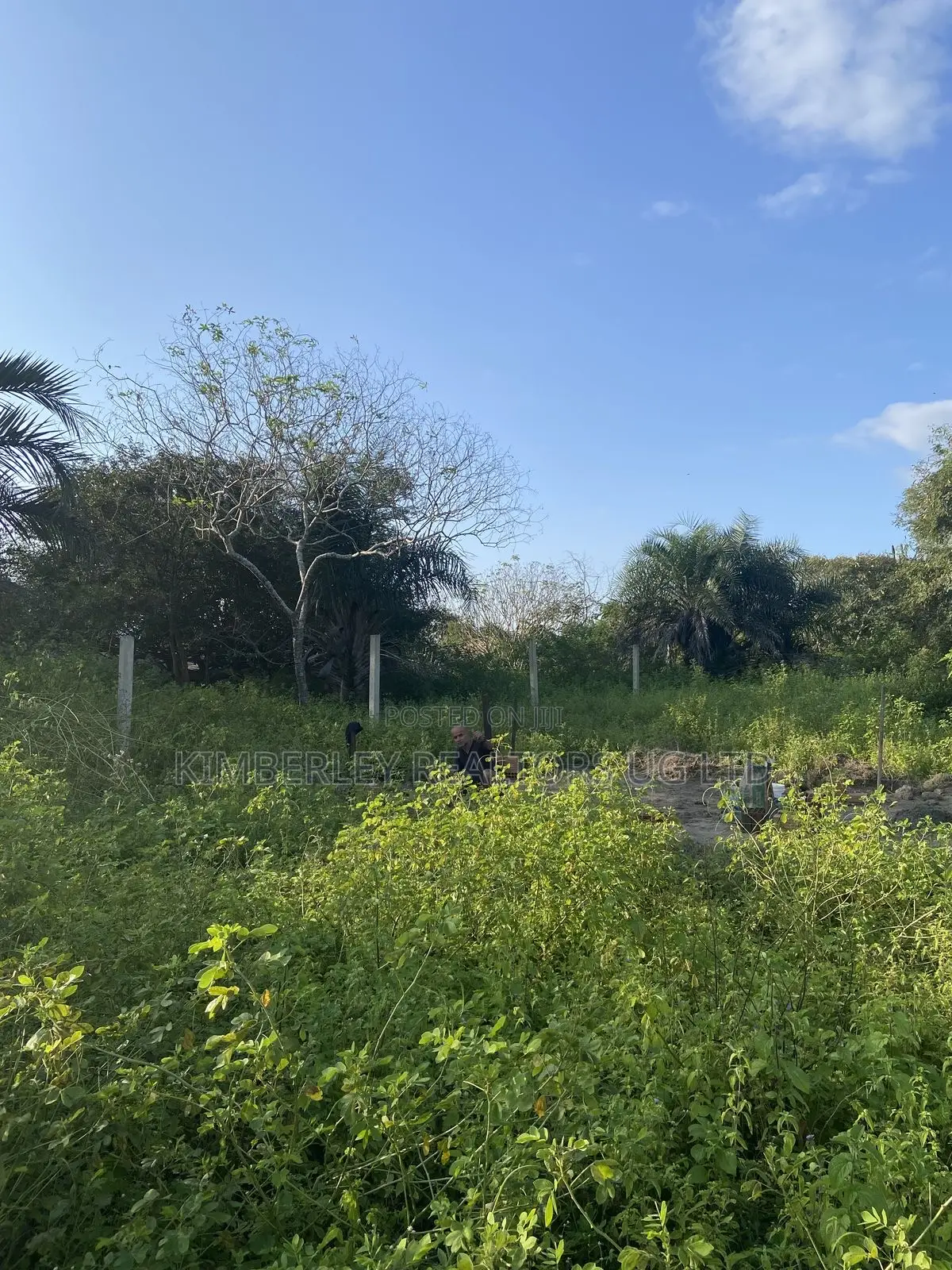 Prime Plot for Sale – Gayaza (Vumba New Hope Estate) in Zirobwe