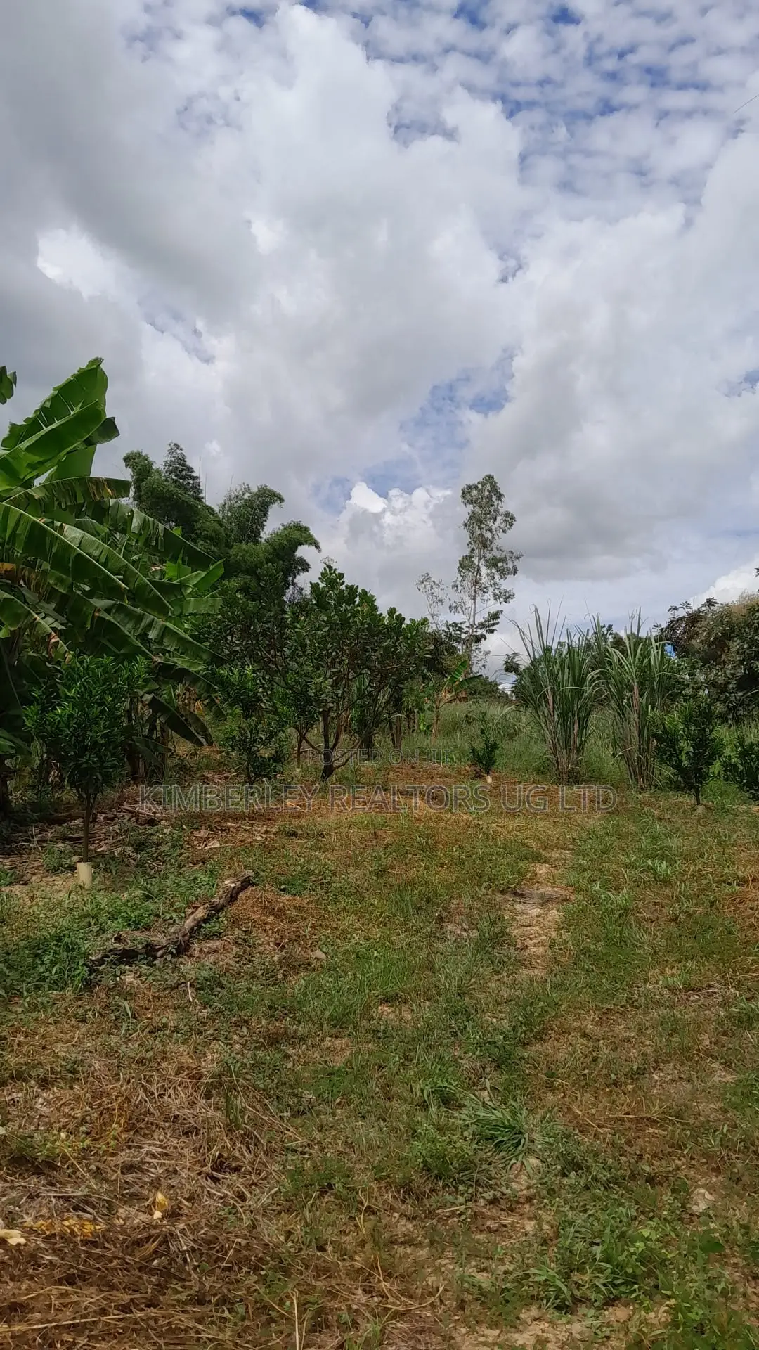 Prime Plot for Sale – Gayaza (Vumba Numbers Estate) in Zirobwe